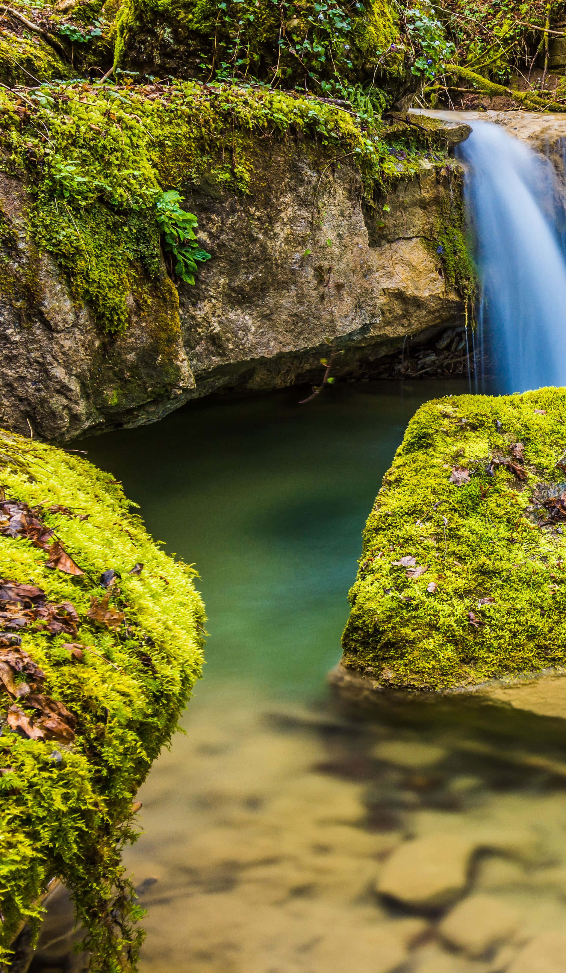 waterfall, woods, forest stream, 2K Phone Wallpaper