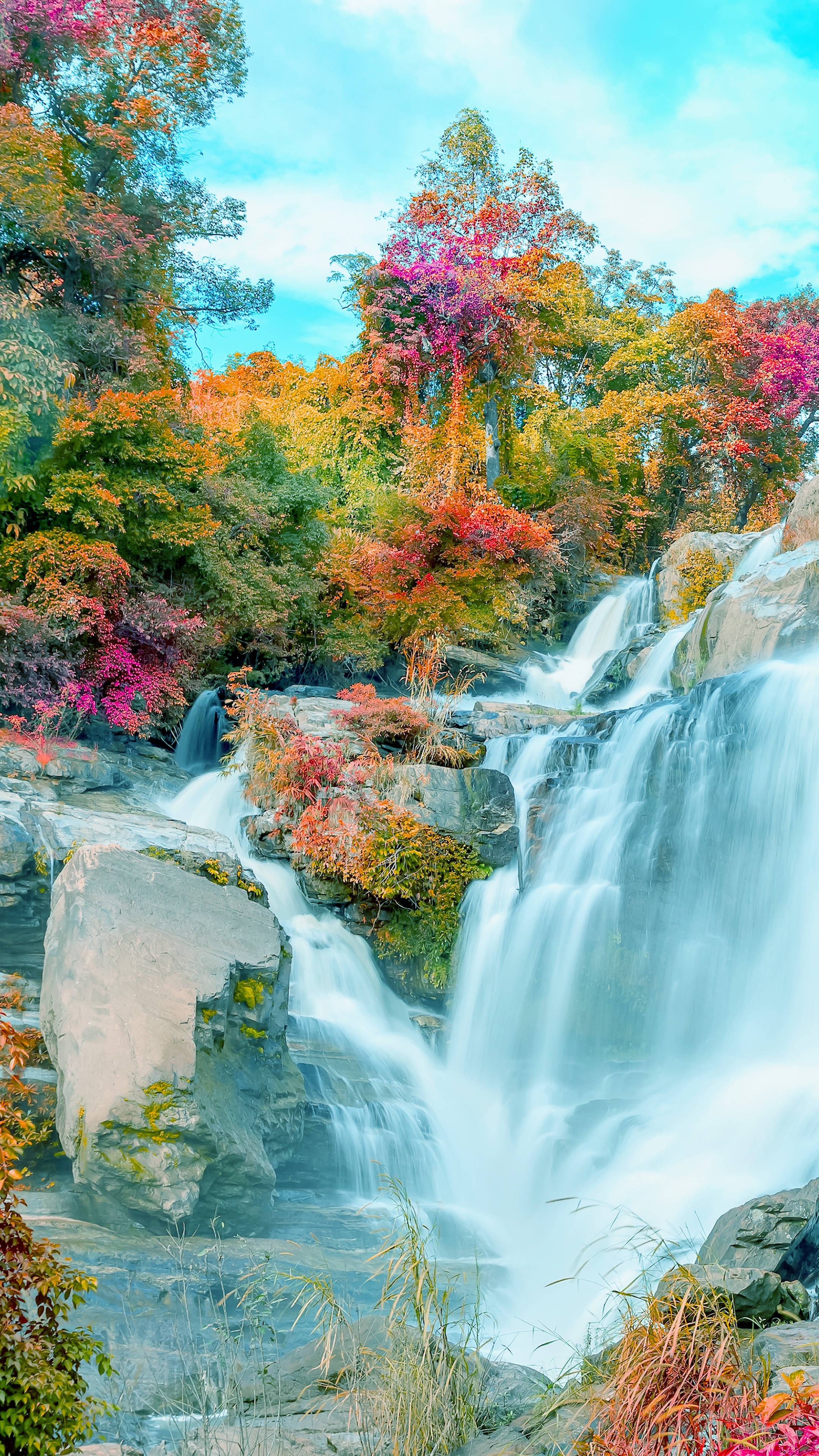 autumnal waterfall, mossy rocks, red orange and pink leaves, 4K Phone Wallpaper