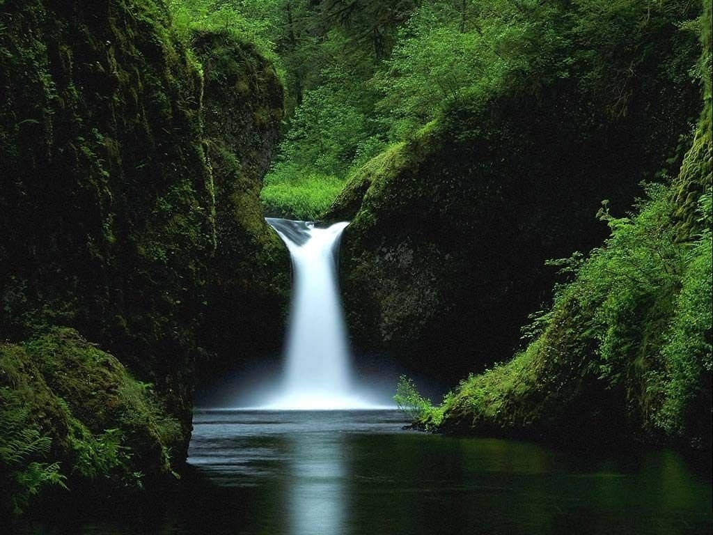 clear waterfalls, serene waterfall, lush green canyon, SD Desktop Wallpaper
