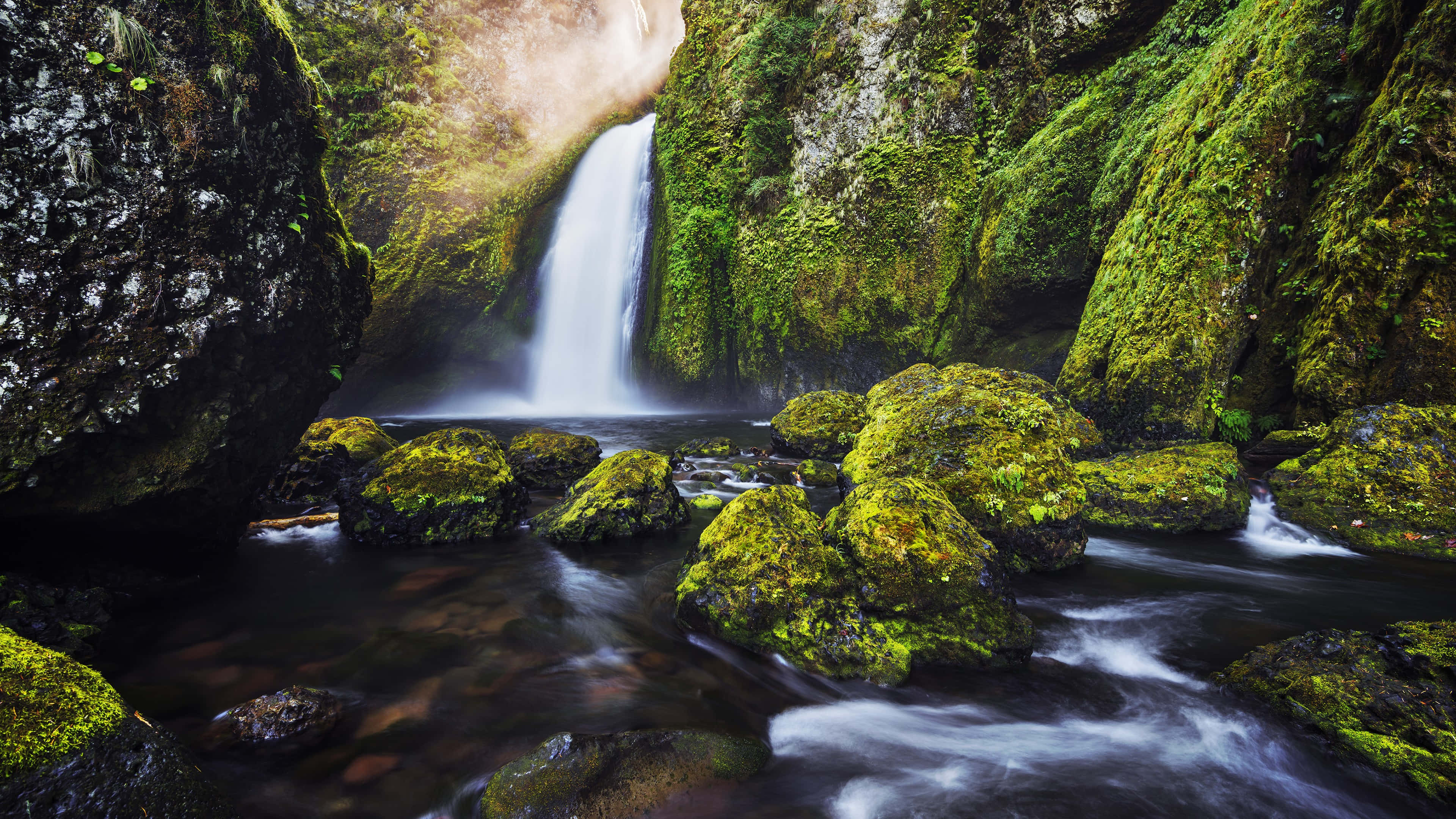 4K Waterfall, mossy rocks, lush green canyon, 4K Desktop Wallpaper