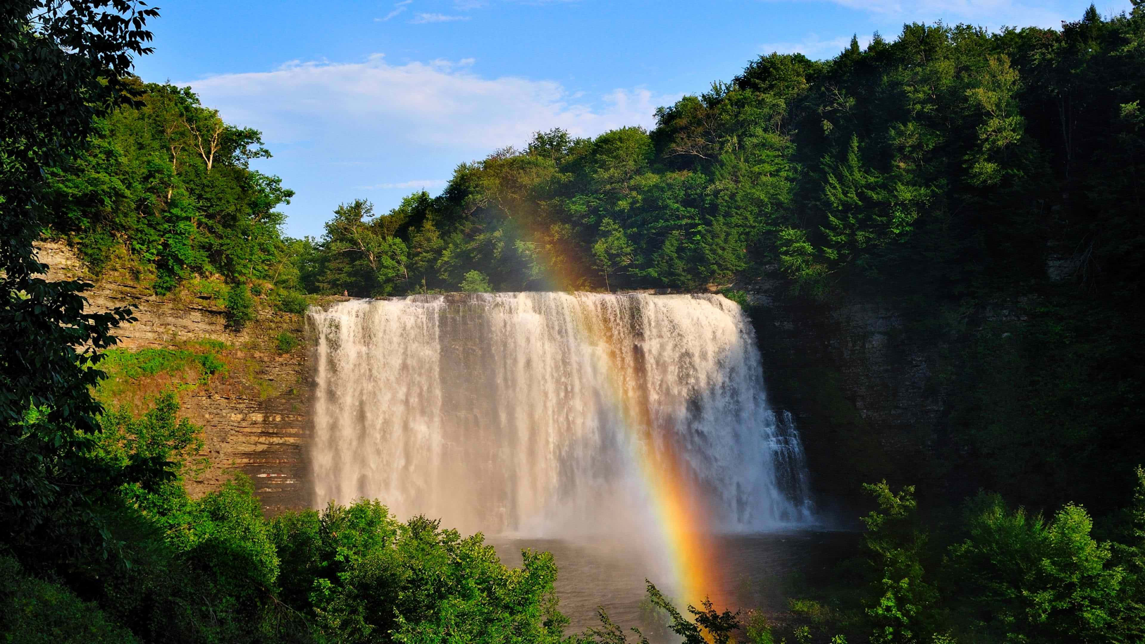 4K Waterfall, majestic waterfall, lush green forest, 4K Desktop Wallpaper