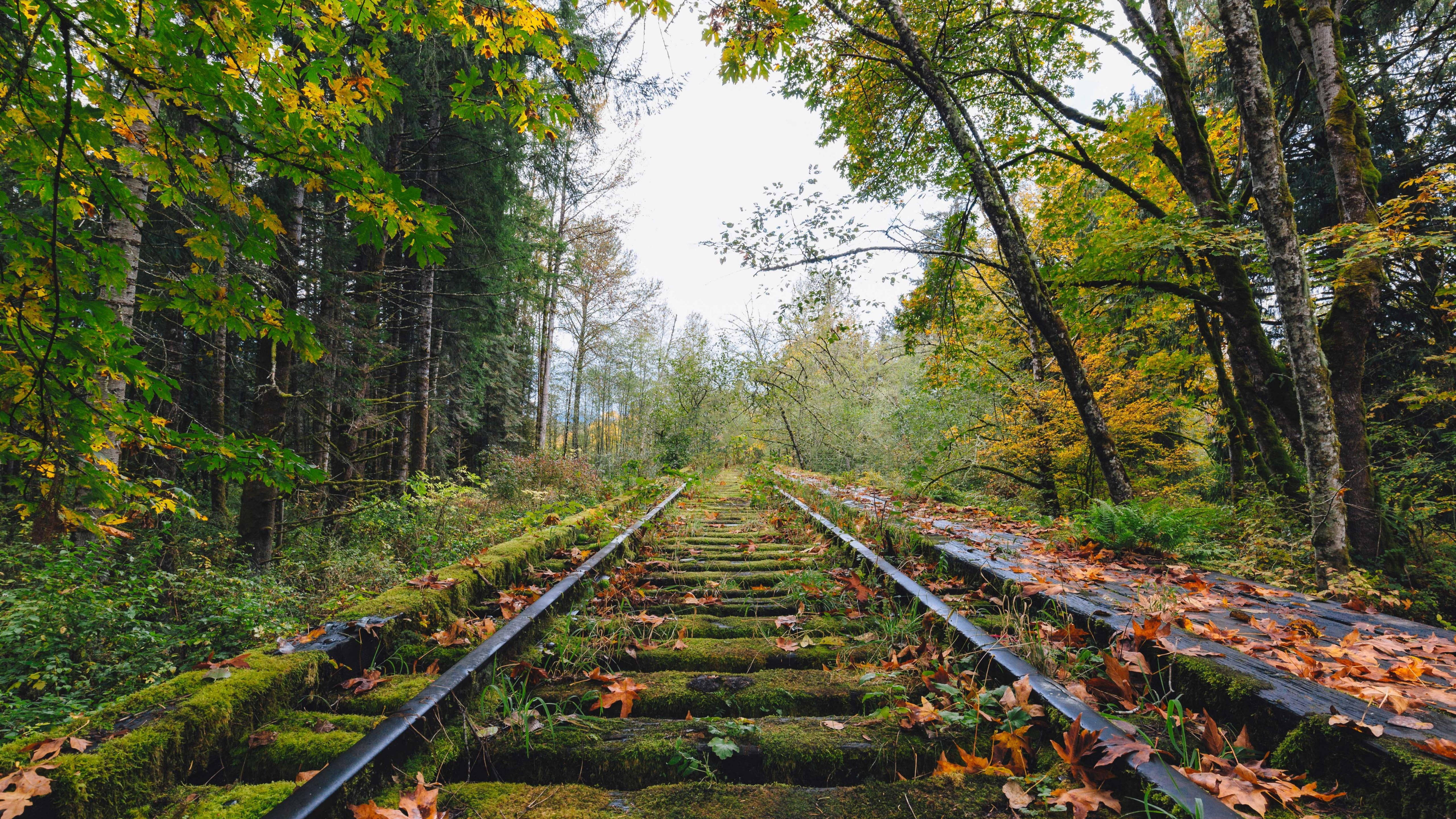 4K UHD, abandoned railway, overgrown train tracks, 5K Desktop Wallpaper
