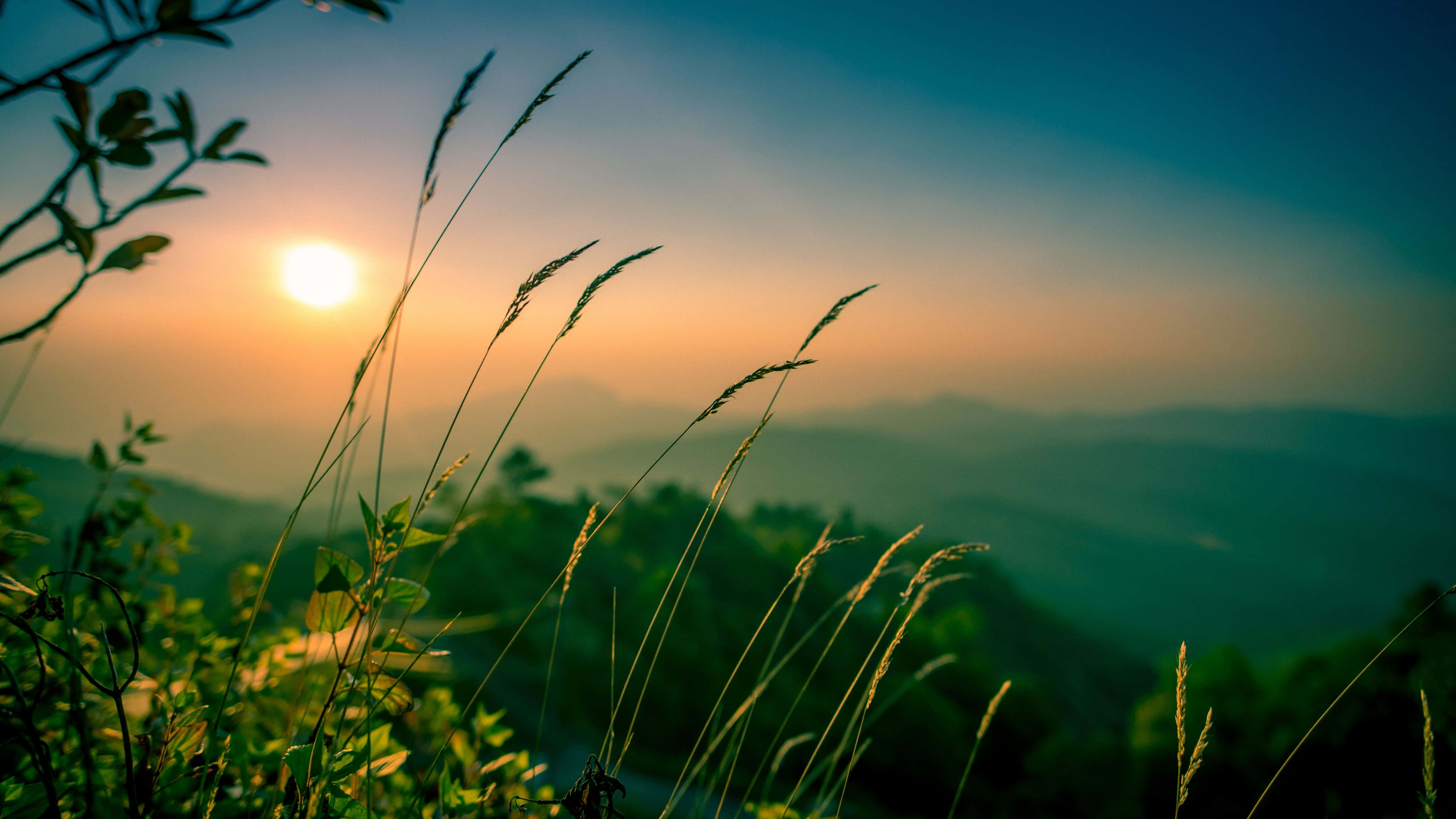 5120x2880, sunny day, golden sun, 5K Desktop Wallpaper