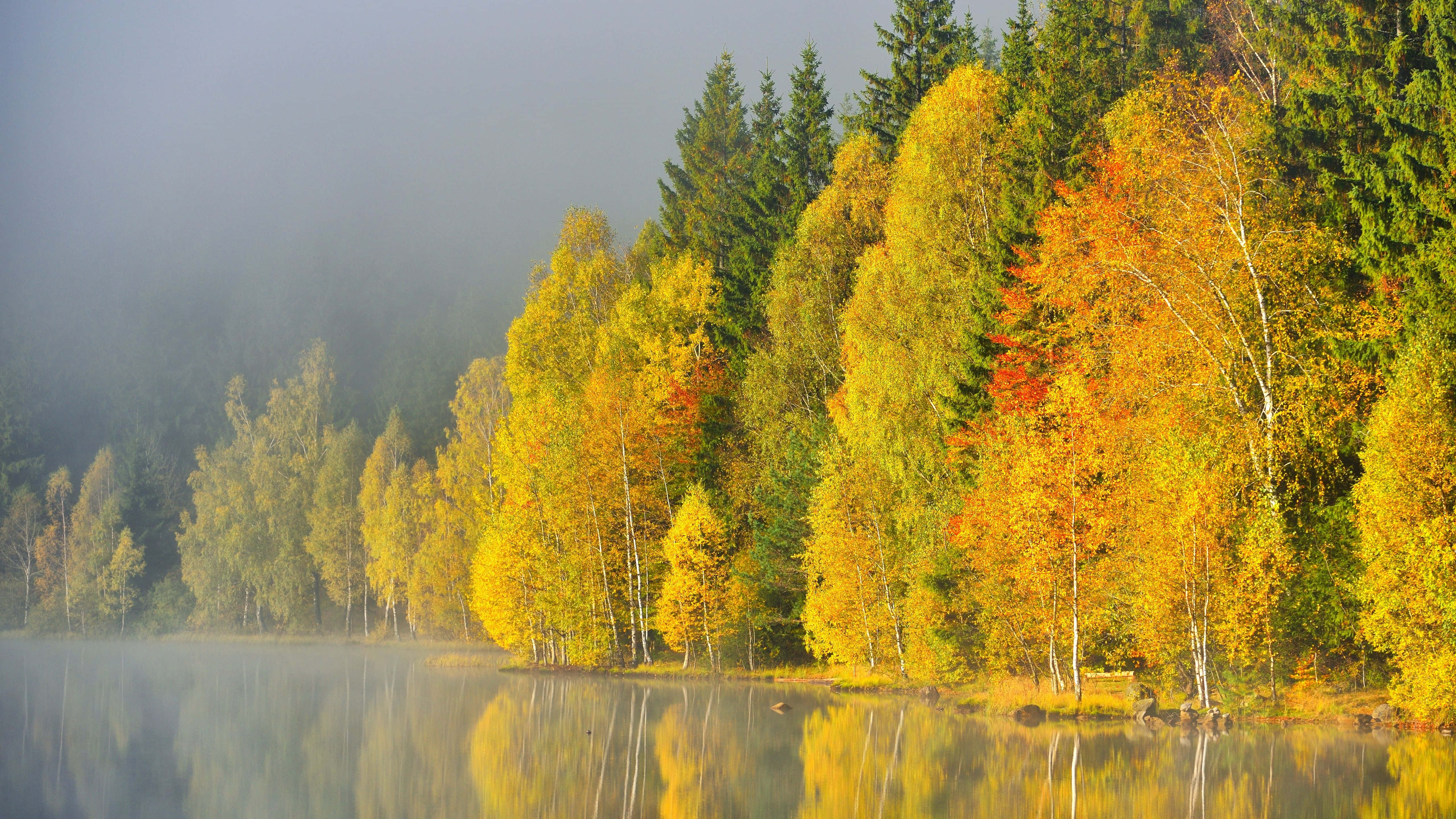 foggy mountain range, cool morning, golden autumn trees, 5K Desktop Wallpaper