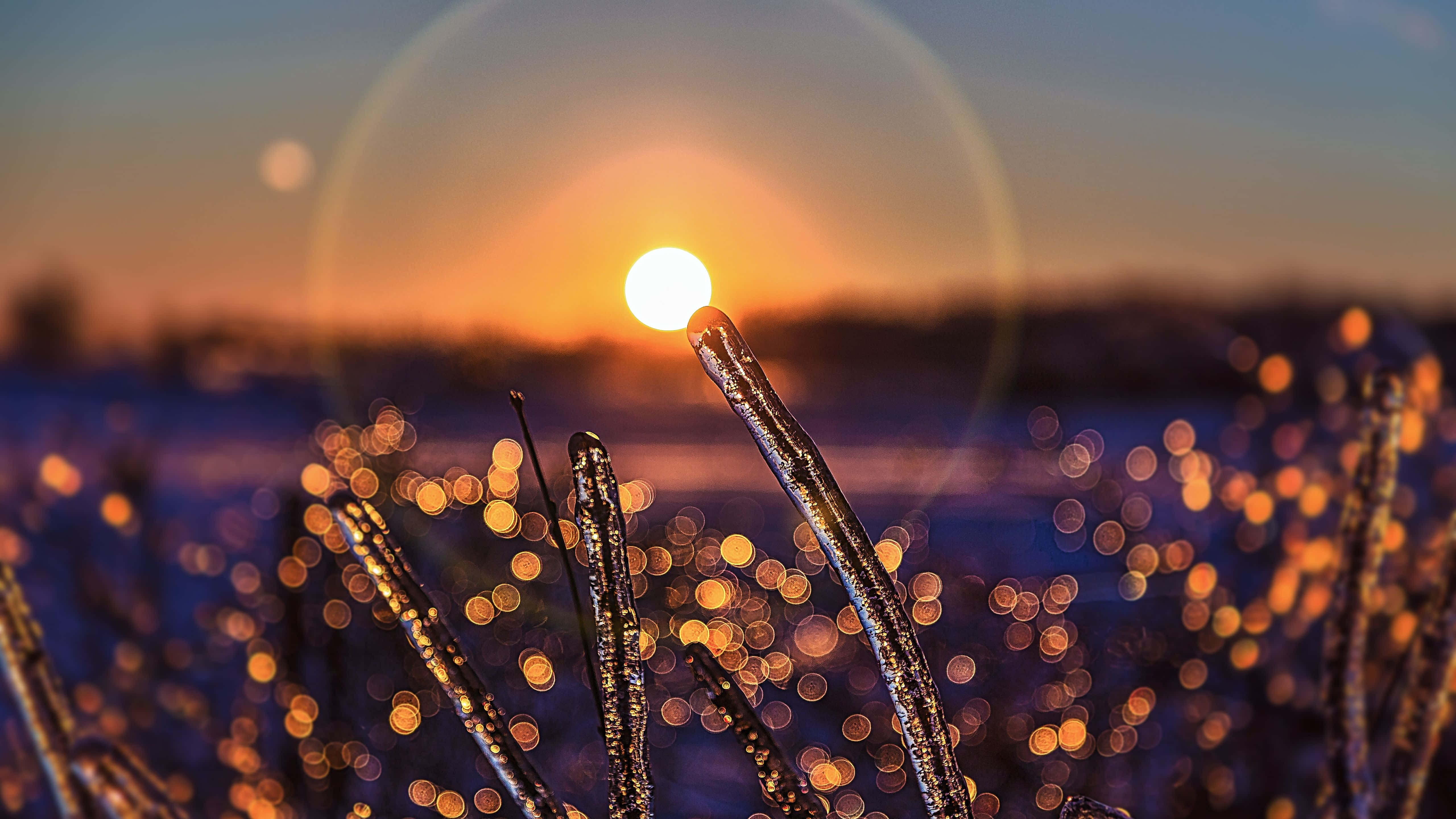 5120x2880, sunset, golden hues, 5K Desktop Wallpaper