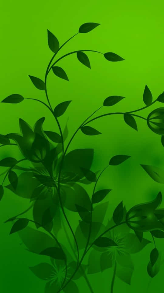 540x960, deep green, vibrant gradient green, SD Phone Wallpaper