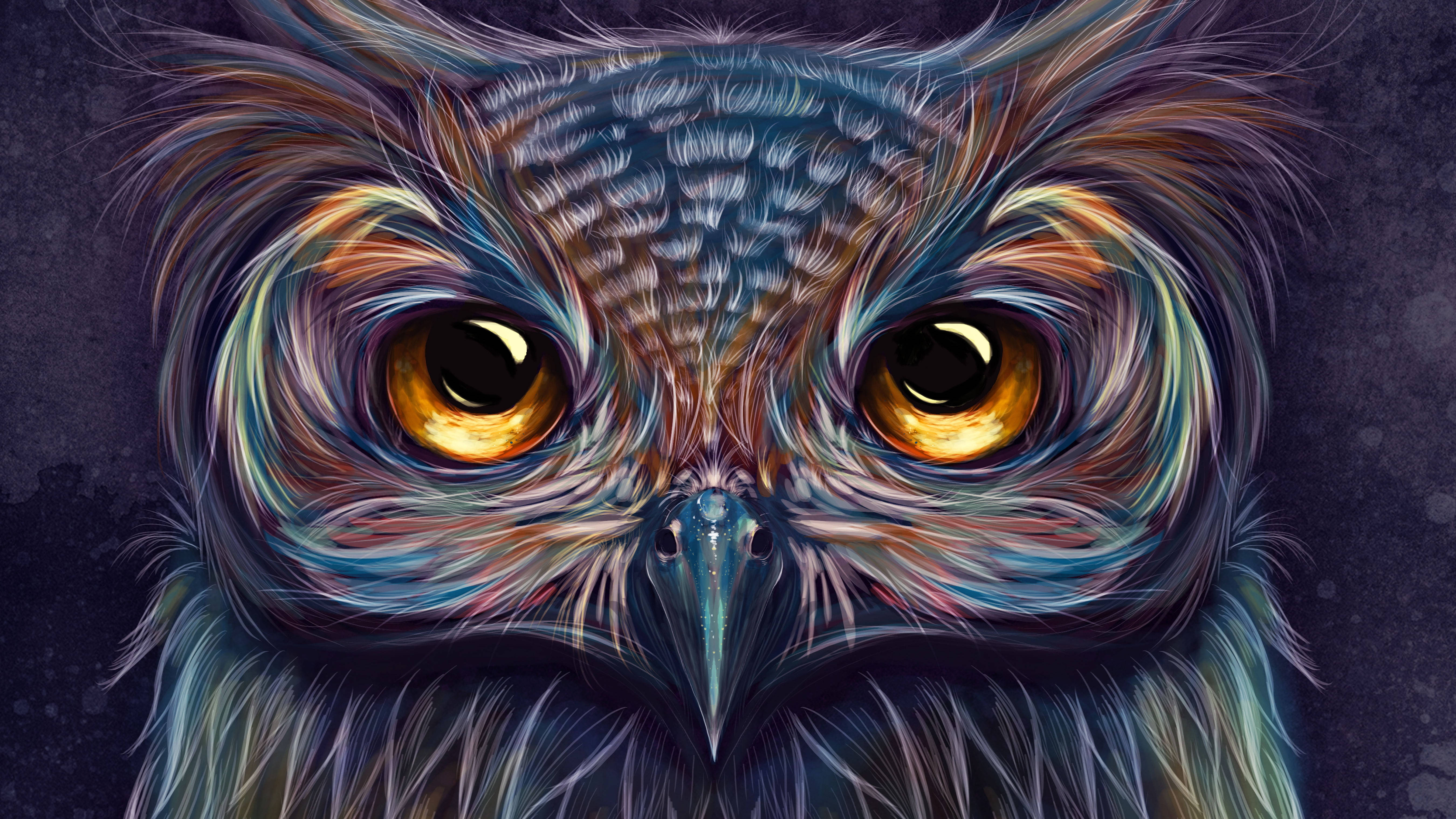 5K HD, owl, glowing amber eyes, 5K Desktop Wallpaper