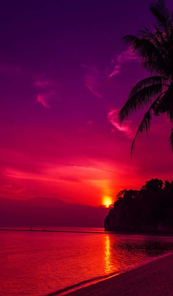 fiery sunset, vivid magenta, crimson, SD Phone Wallpaper