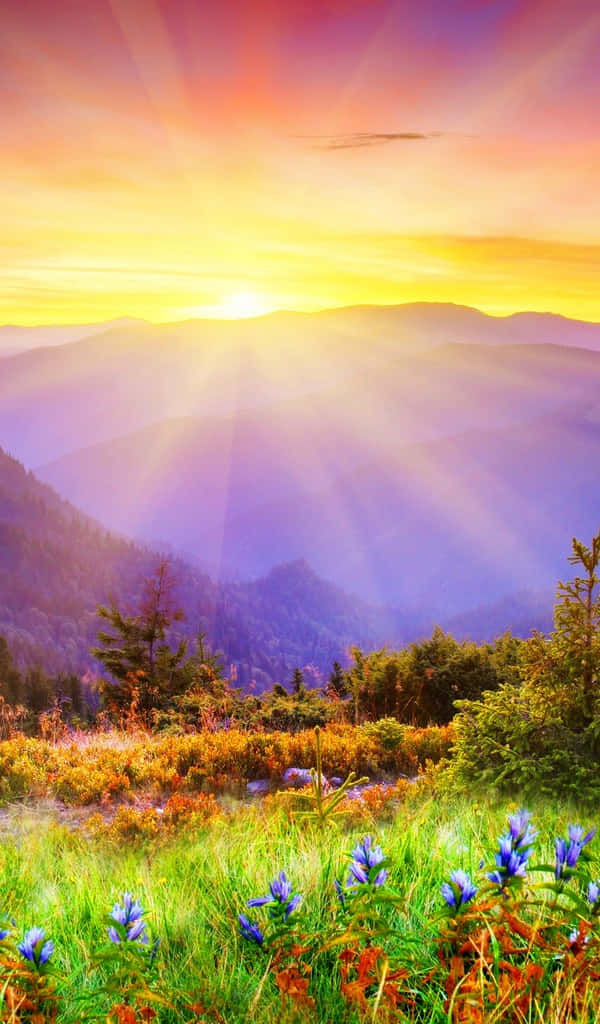 sunlight beams, vibrant sunrise, misty purple mountains, SD Phone Wallpaper