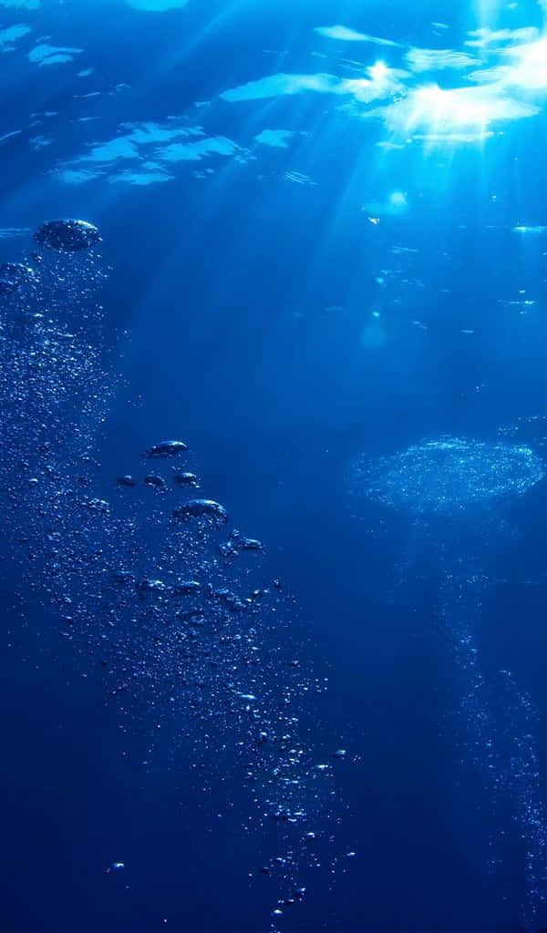 Sunlight beams, deep blue ocean water, swirling bubbles, SD Phone Wallpaper