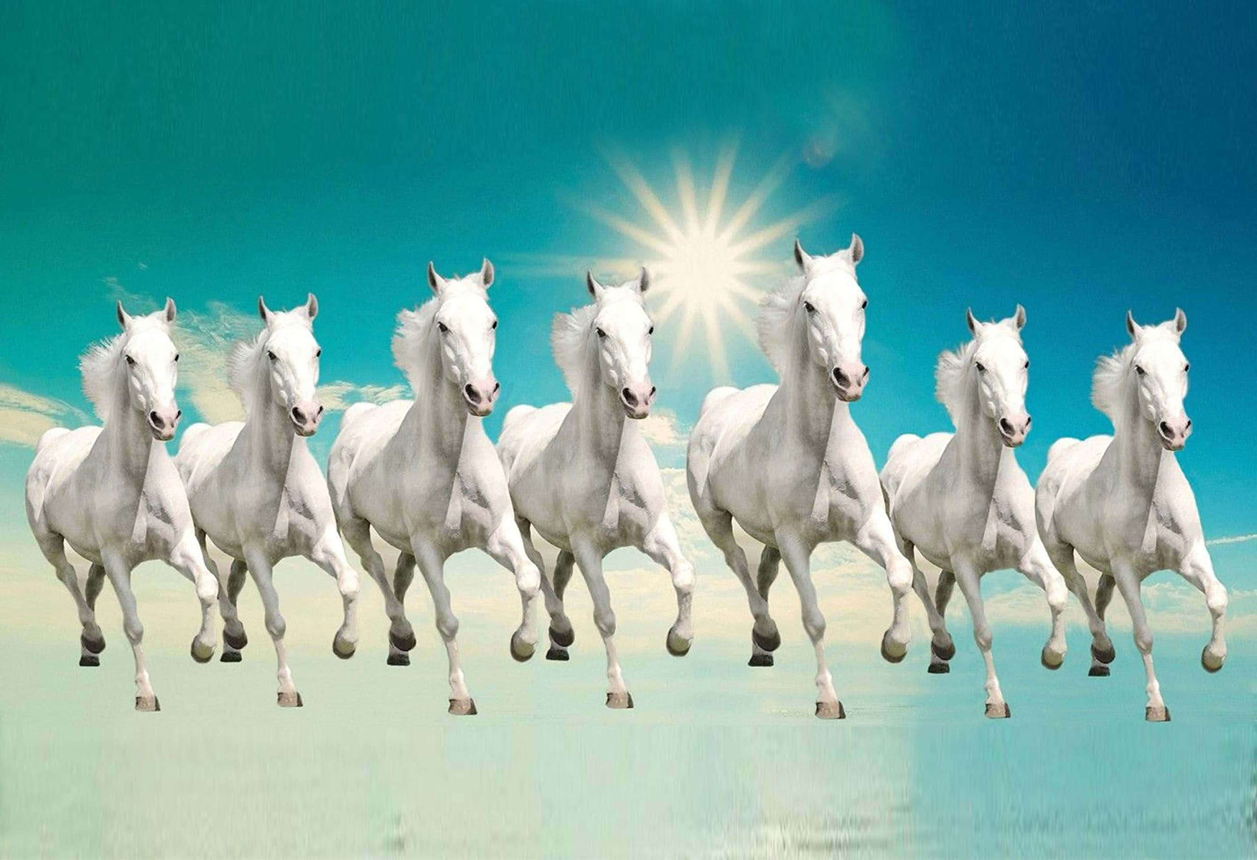 7 white horses, gallop in unison, radiant sun, 2K Desktop Wallpaper