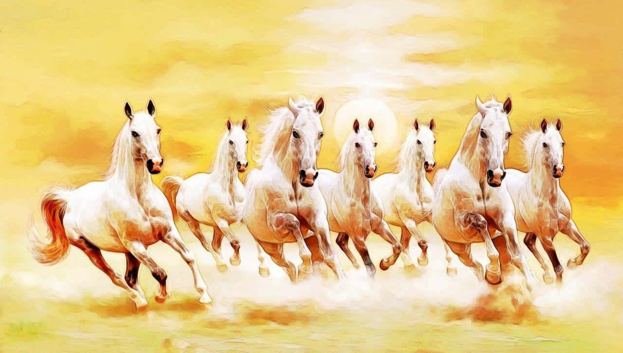 7 White Horses, golden field, warm sunset sky, HD Desktop Wallpaper