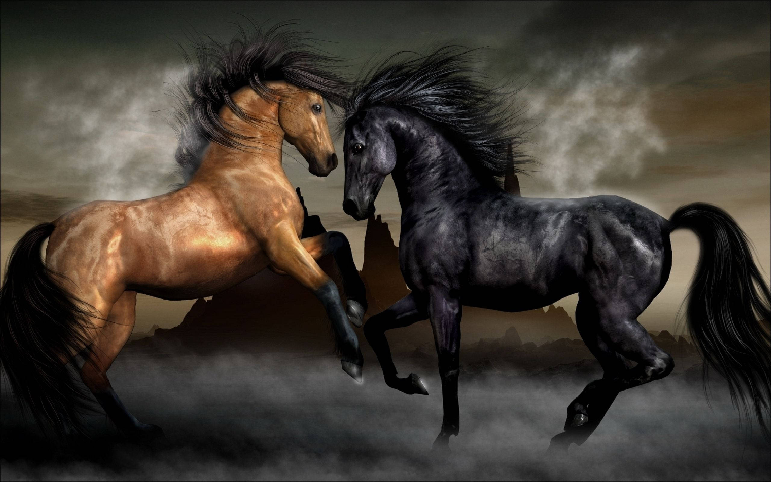 golden horse, black horse, stormy backdrop, 2K Desktop Wallpaper