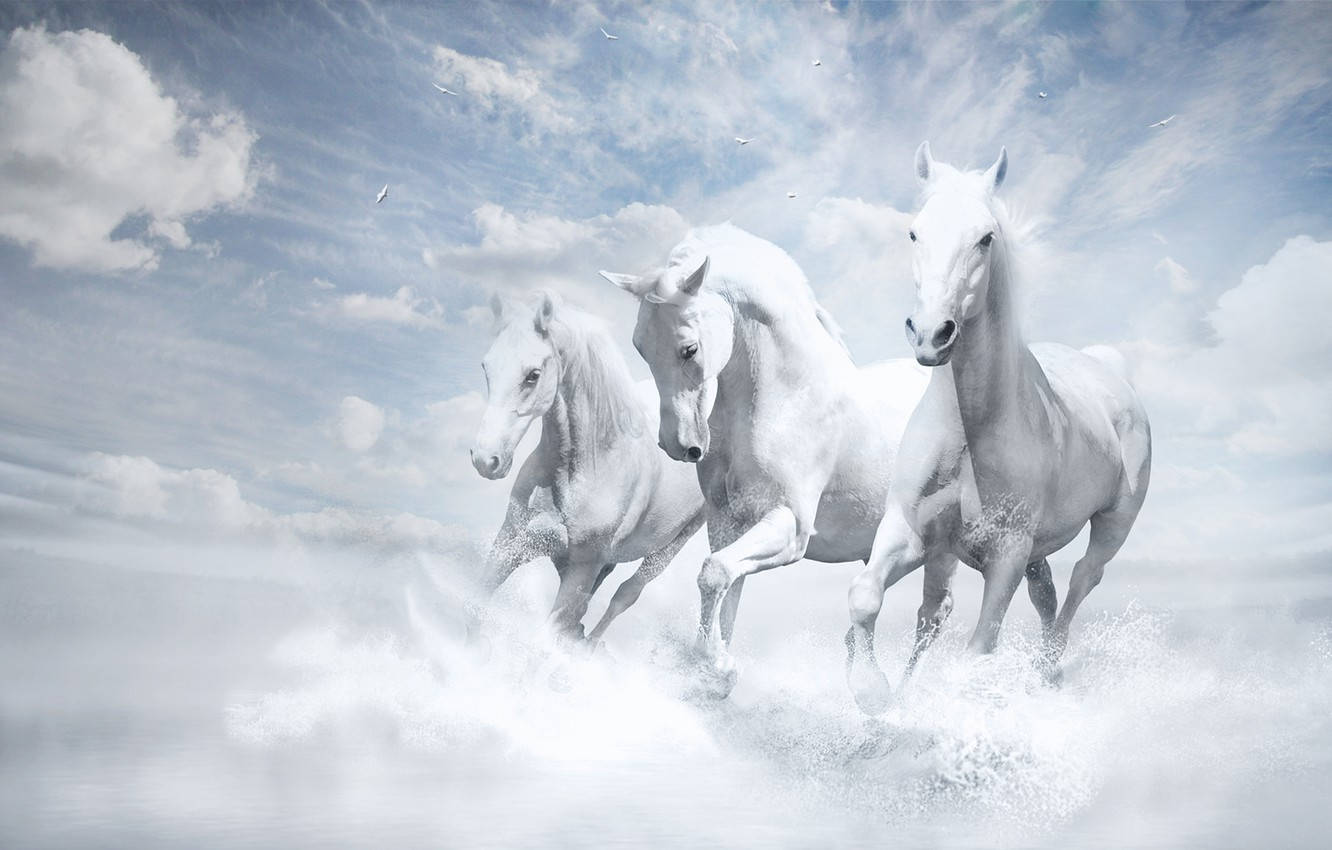 three galloping white horses, ocean waves, bright cloudy sky, HD Desktop Wallpaper