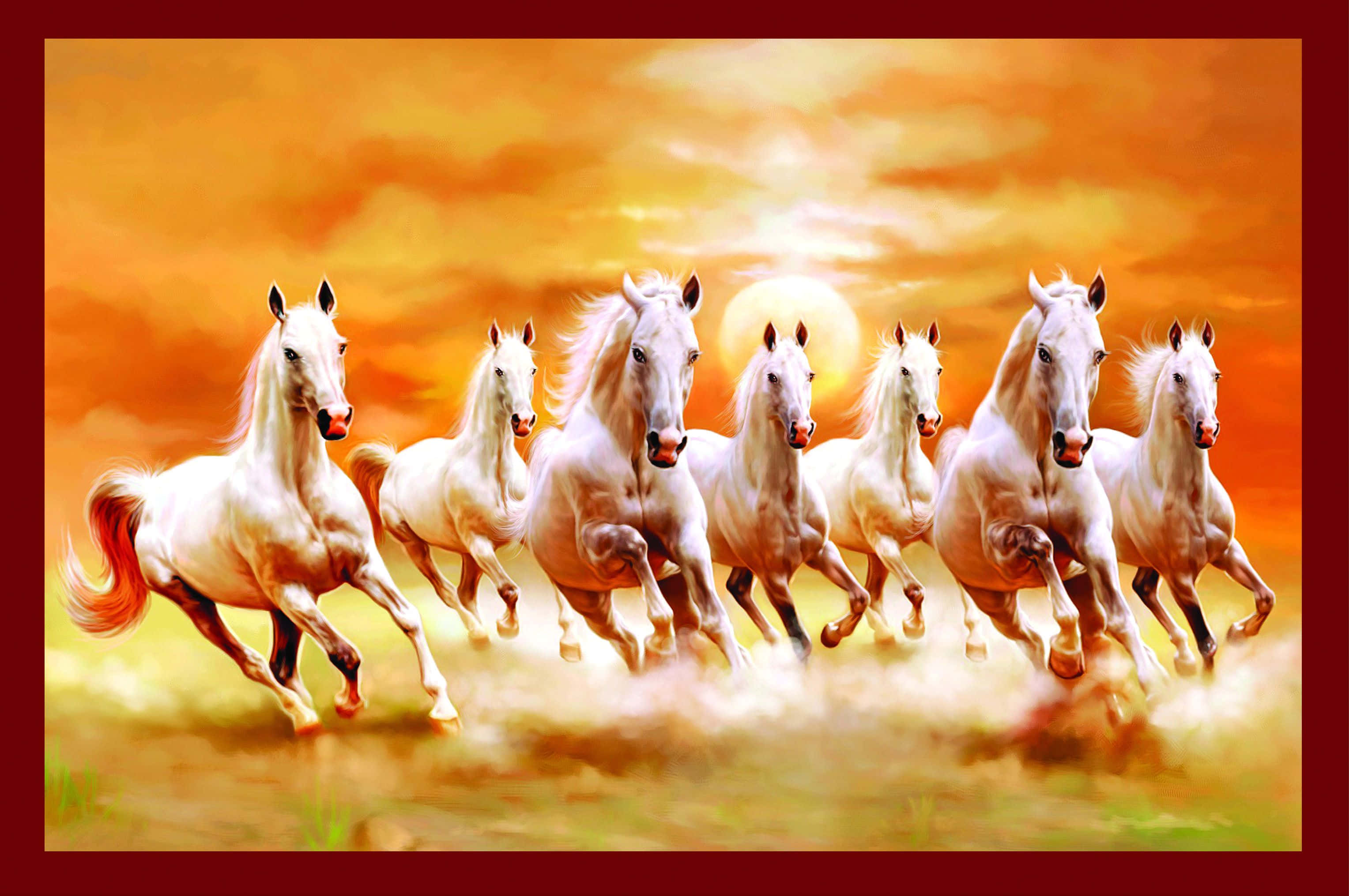 7 White Horses, red border, golden field, 2K Desktop Wallpaper