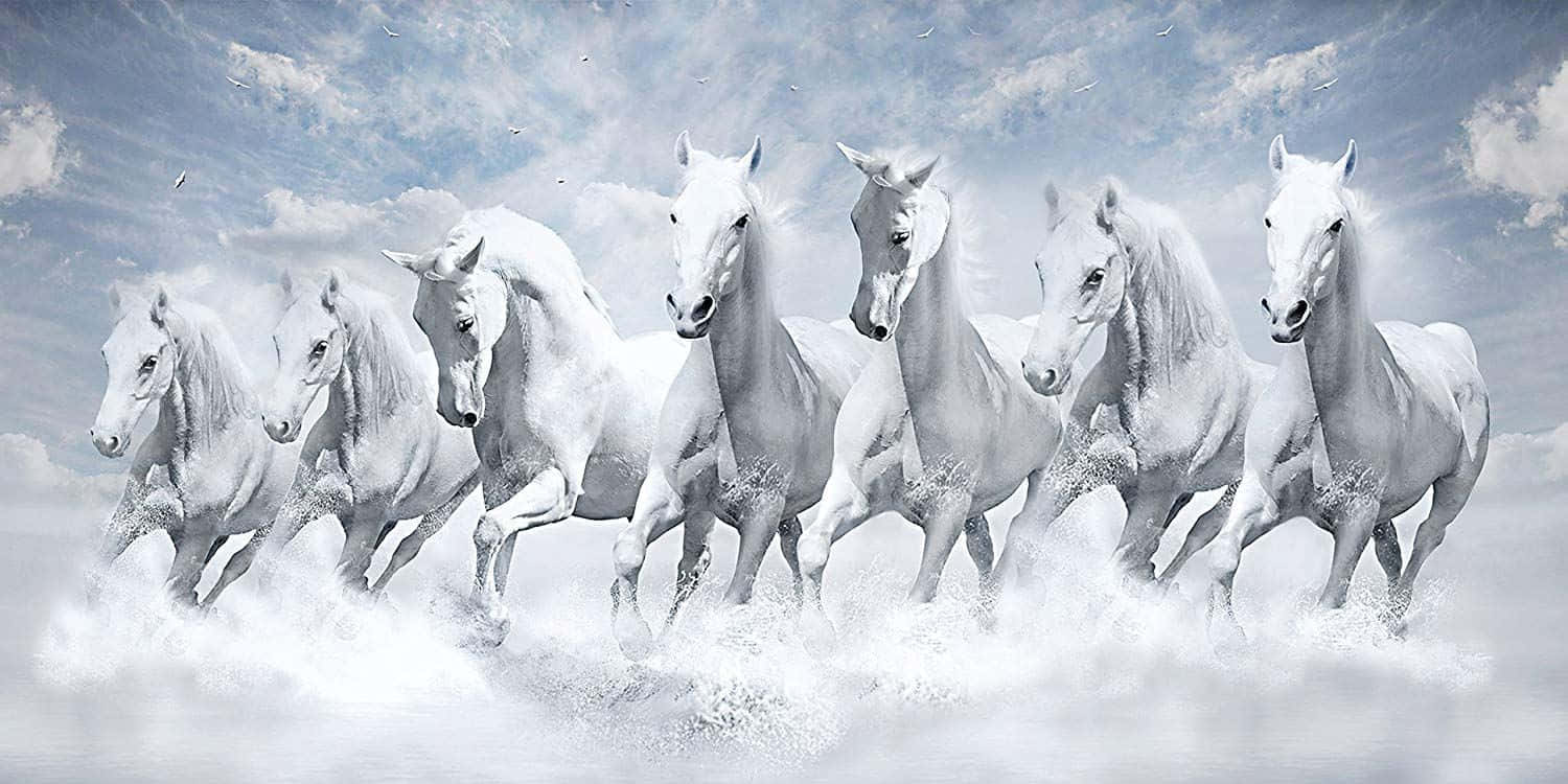 white horses, misty clouds, bright blue sky, HD Desktop Wallpaper