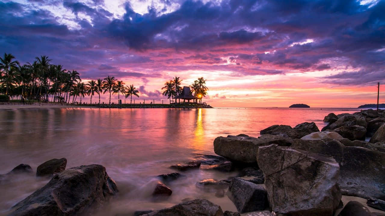 sunset, skyline, tropical sunset, HD Desktop Wallpaper