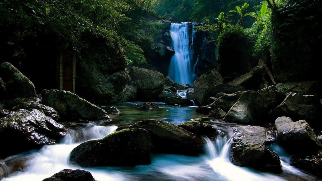 720p, waterfall, lush green jungle, HD Desktop Wallpaper