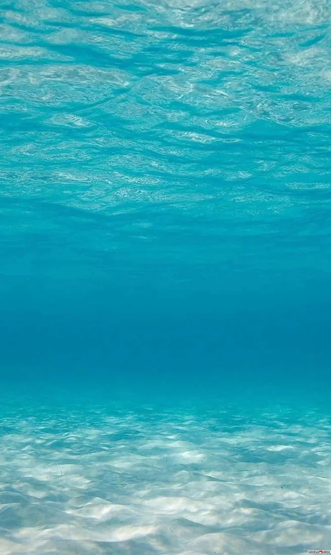720x1208