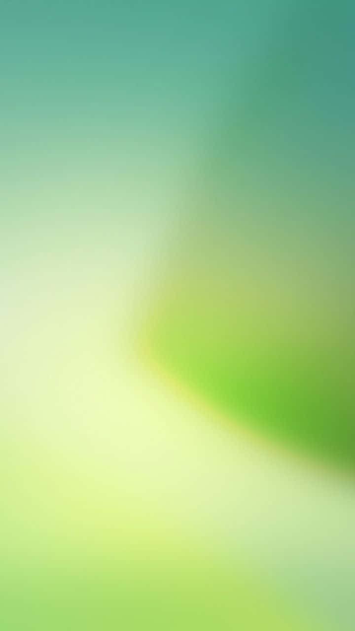 sunset, lush green field, mint green, HD Phone Wallpaper