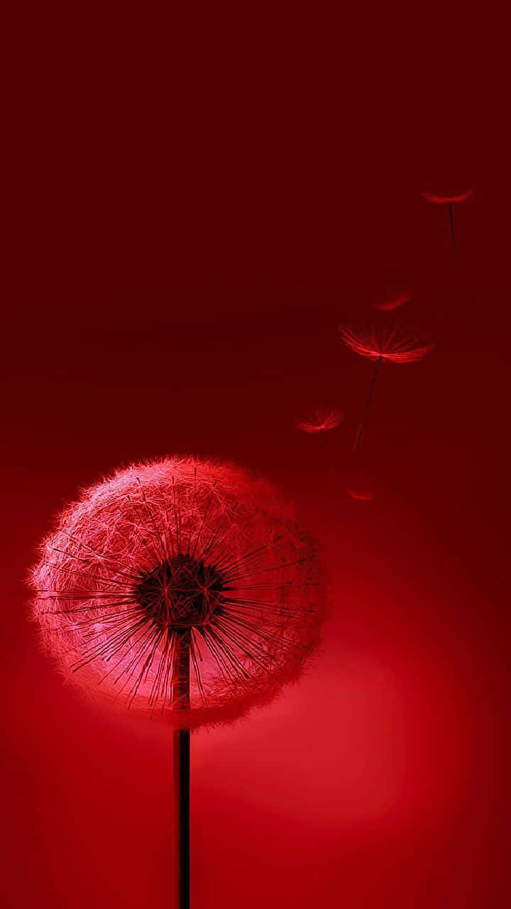 720x1280, glowing red dandelion seed head, seeds drifting upward, HD Phone Wallpaper