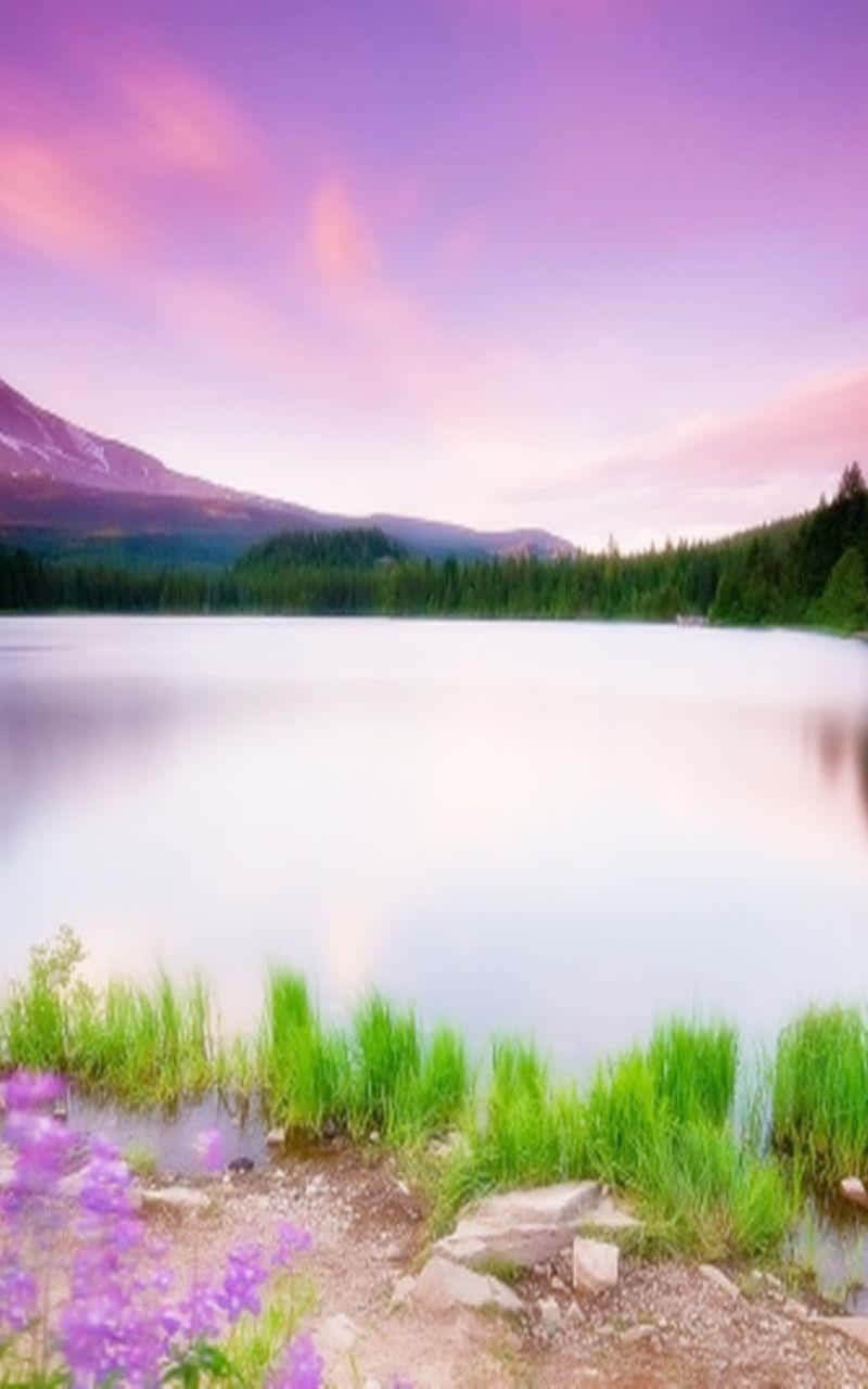 vibrant purple and pink sunset sky, calm waters, distant mountains, HD Phone Wallpaper