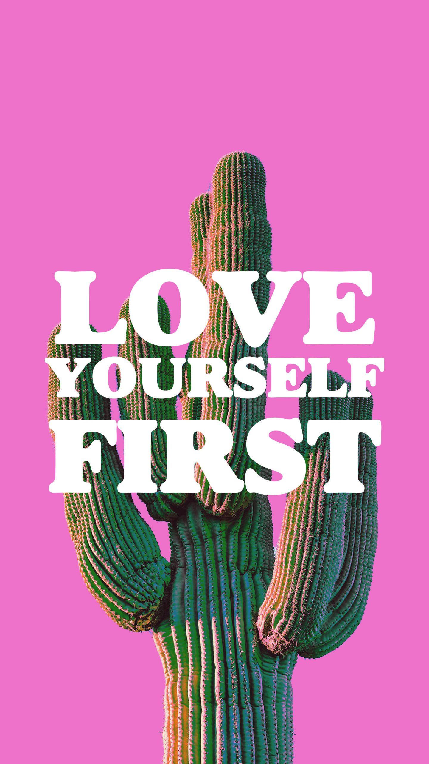 LOVE YOURSELF FIRST, pink background, green cactus, 2K Phone Wallpaper