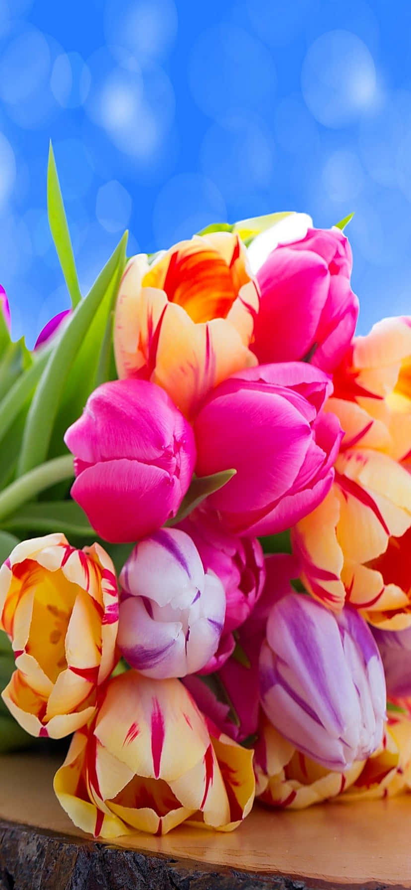 828x1792, autumn-colored rug, pink orange and purple tulips, HD Phone Wallpaper