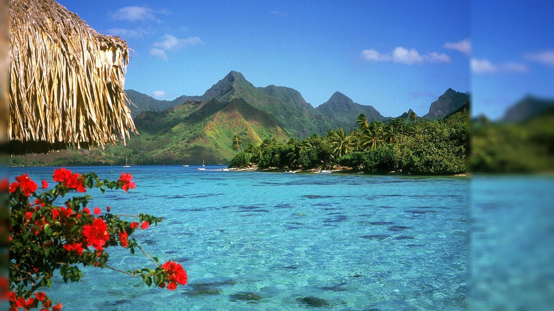 tropical island, turquoise lagoon, thatched roof hut, Full HD Desktop Wallpaper