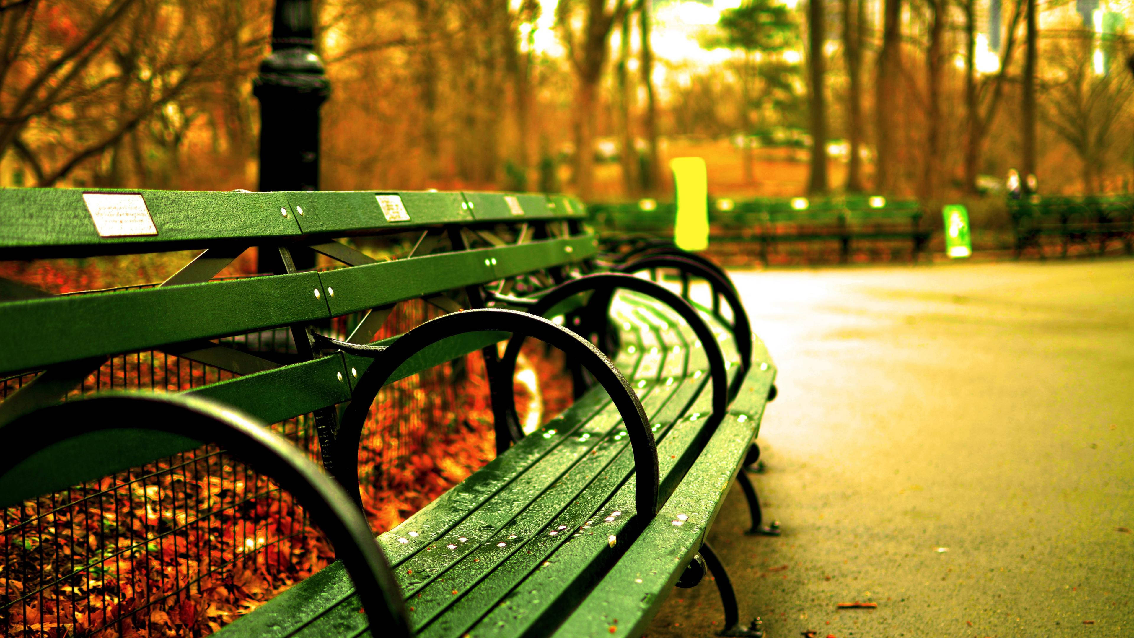 8K Desktop, park bench, wet green, 4K Desktop Wallpaper