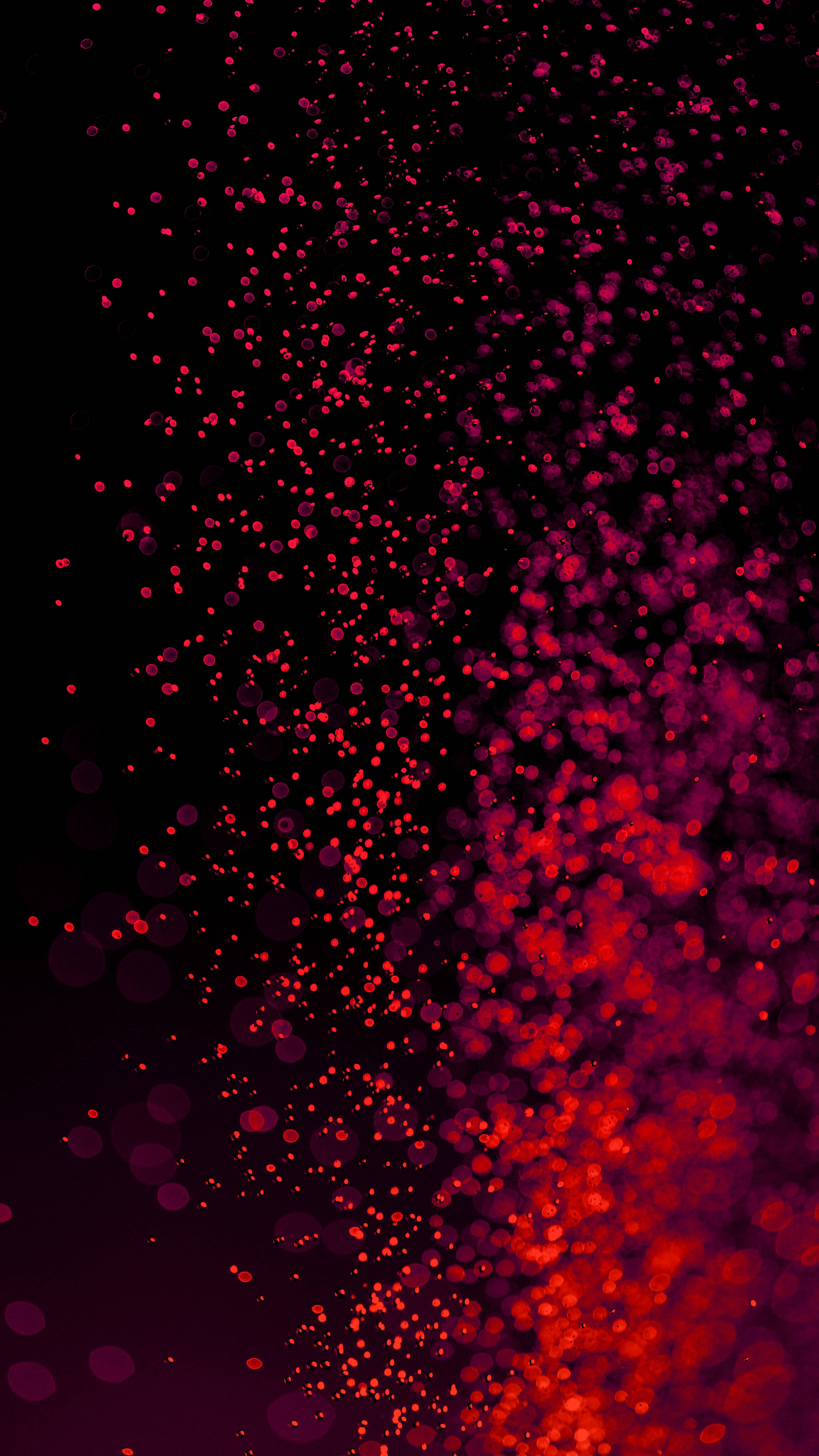 vibrant red dots, glowing red and magenta bokeh particles, deep black background, 5K Phone Wallpaper