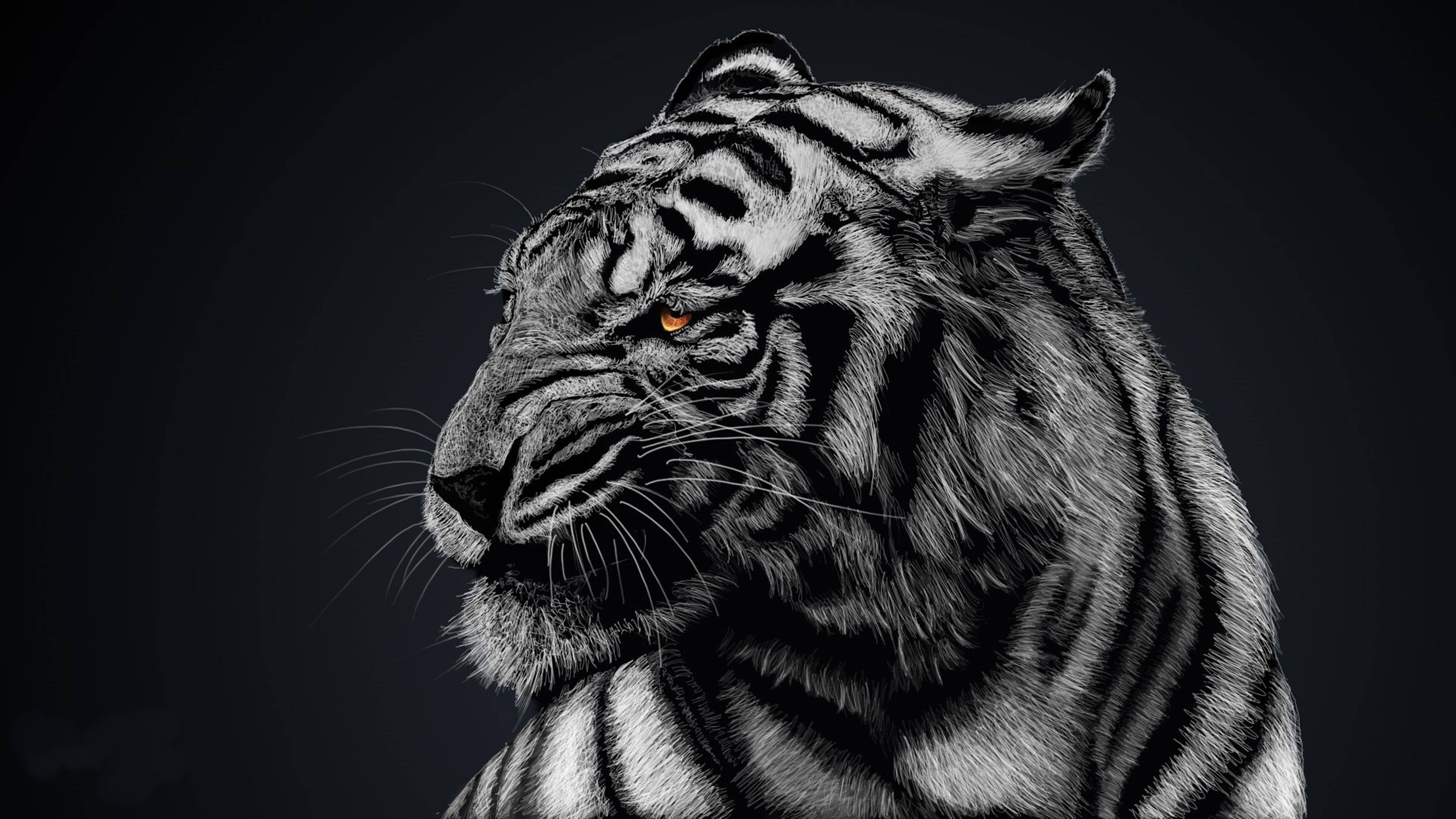 8K Tiger UHD, monochrome, glowing orange eyes, 8K Desktop Wallpaper