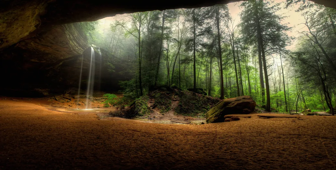 8K Ultra HD Nature