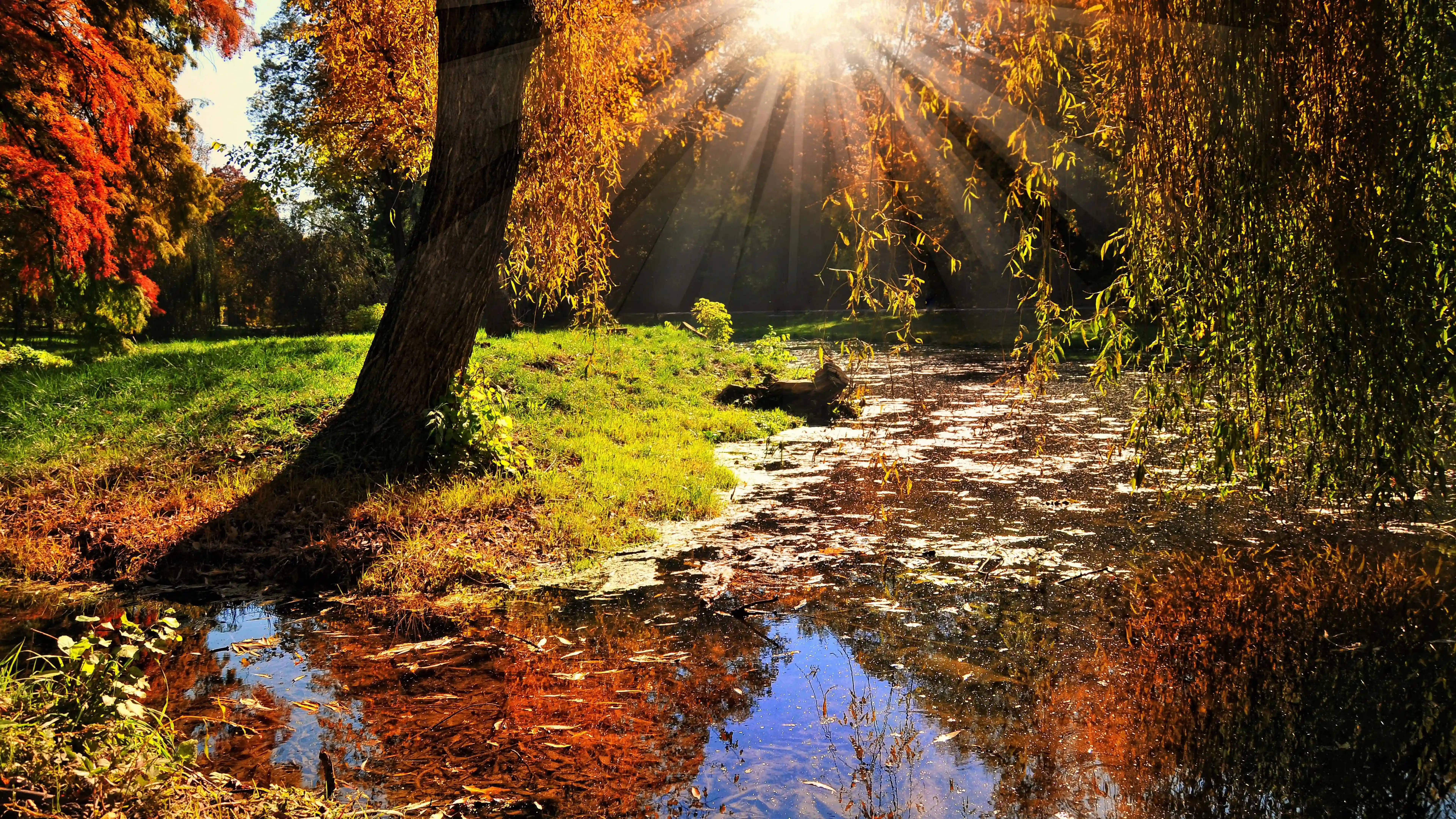 8K Ultra HD Nature Lagoon, golden sunlight, autumn trees, 8K Desktop Wallpaper