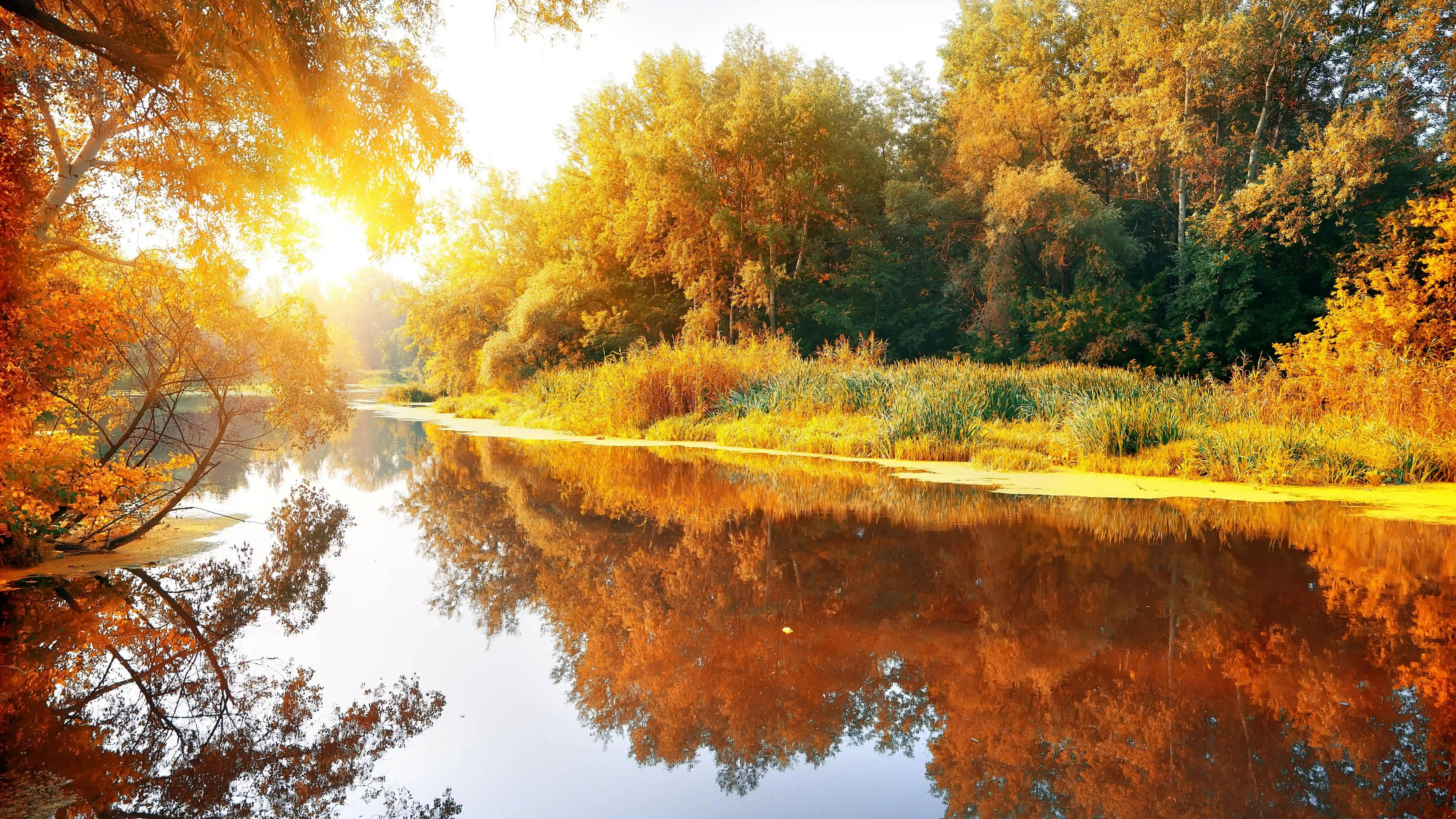 8K Ultra HD Nature, autumn river, golden sunlight, 8K Desktop Wallpaper