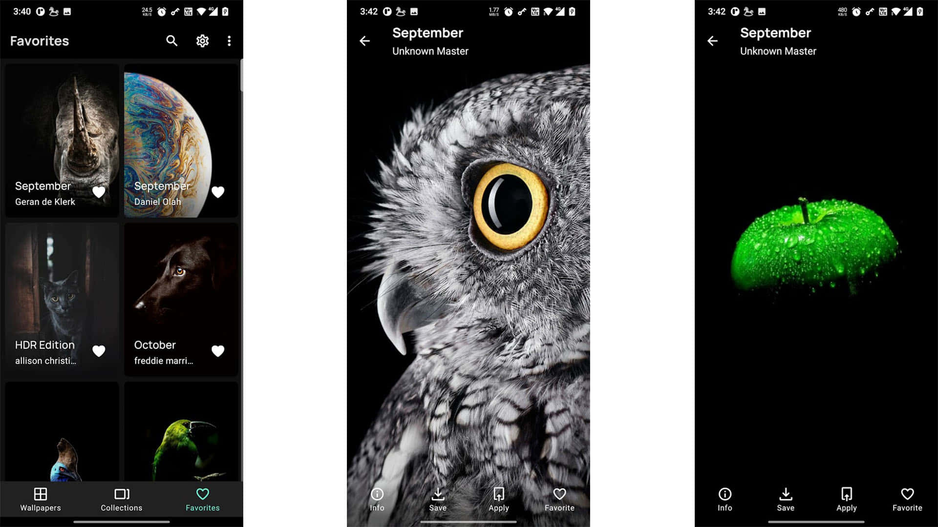 8K Ultra HD, Amoled, owl, Full HD Desktop Wallpaper