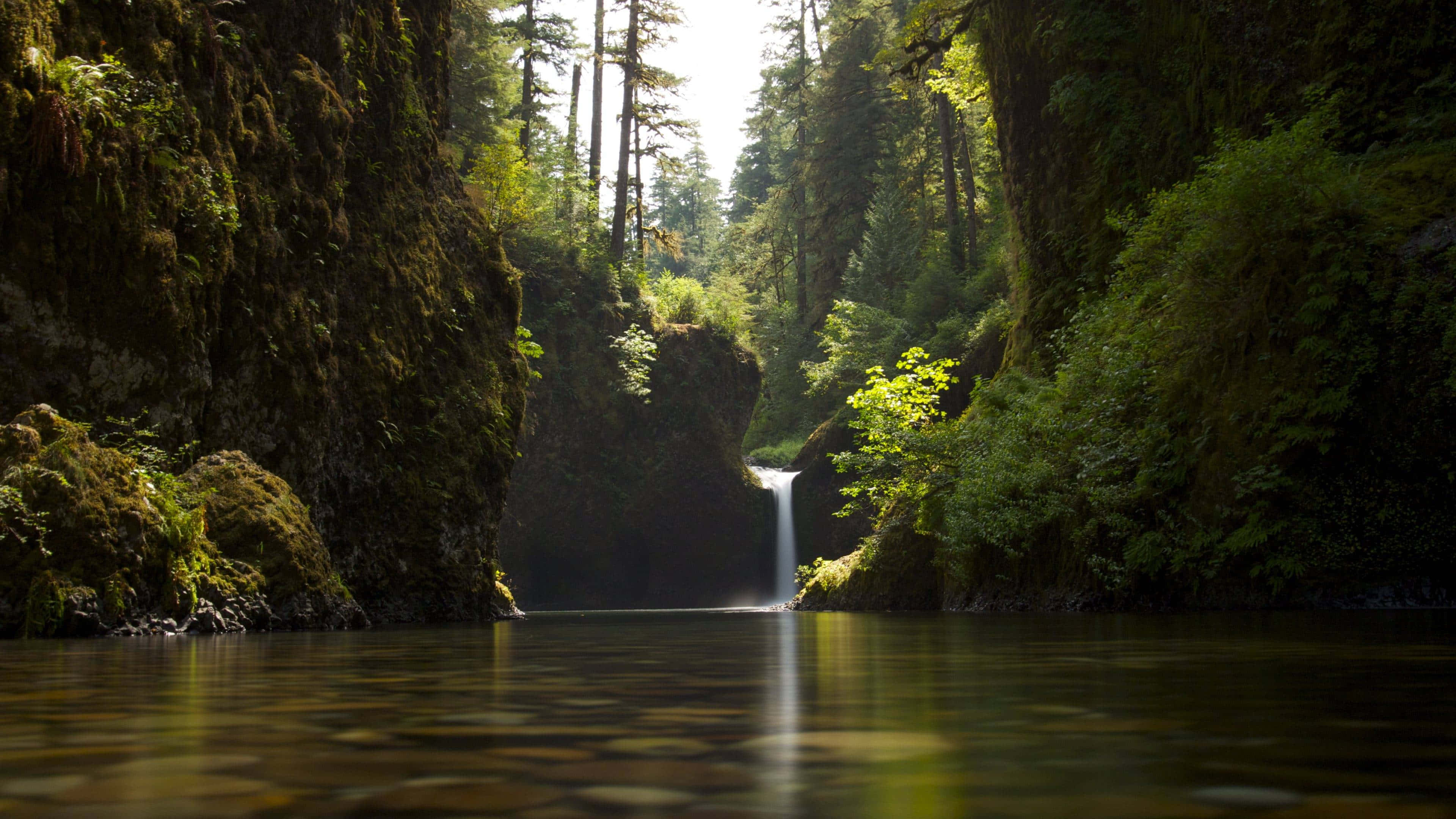 Ultra HD, 3840 x 2160, forest canyon, 4K Desktop Wallpaper