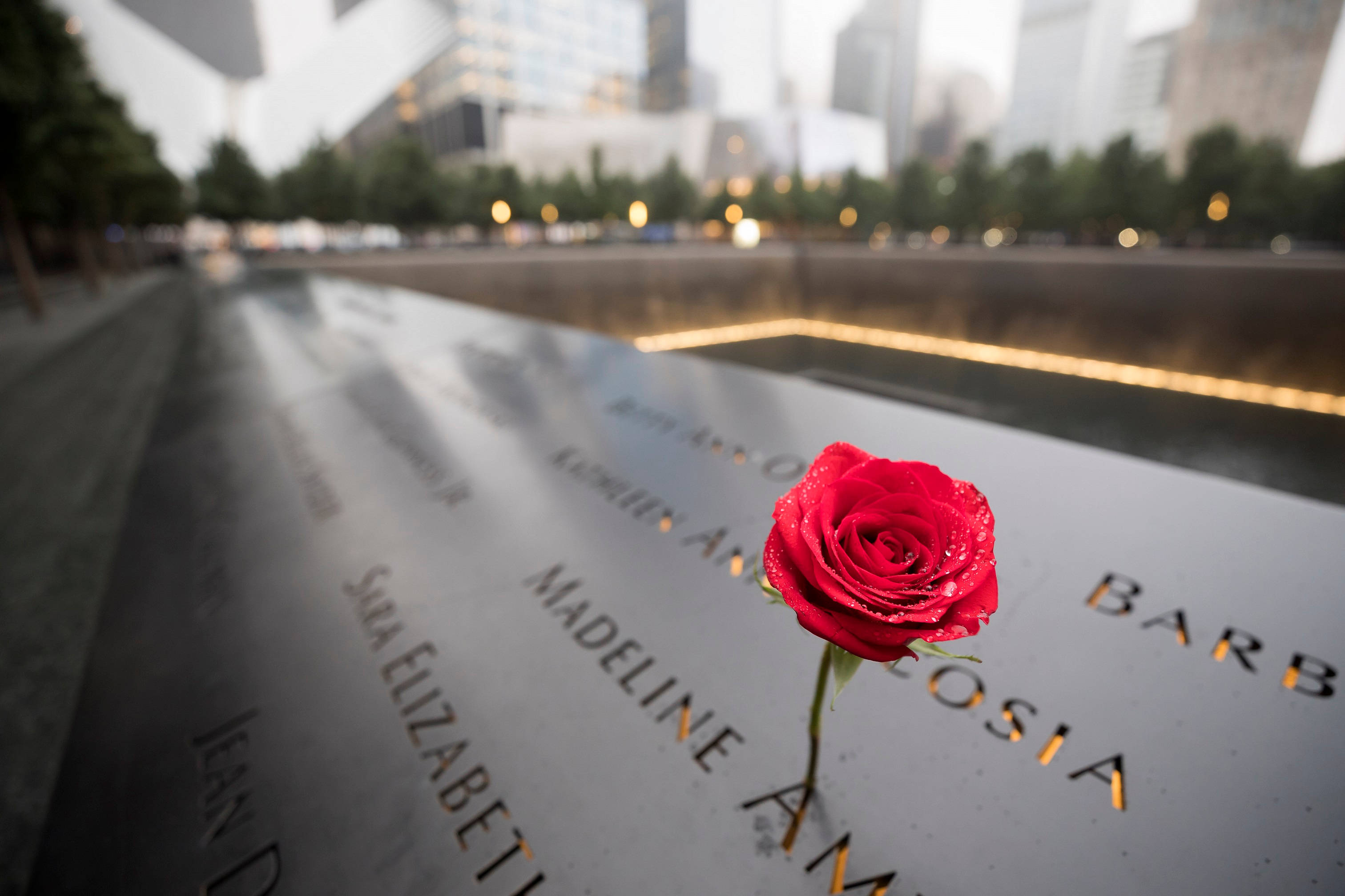 911 Memorial, single red rose, reflective black stone, 2K Desktop Wallpaper
