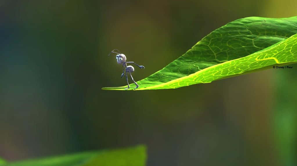 A Bugs Life, ant, leaf, SD Desktop Wallpaper