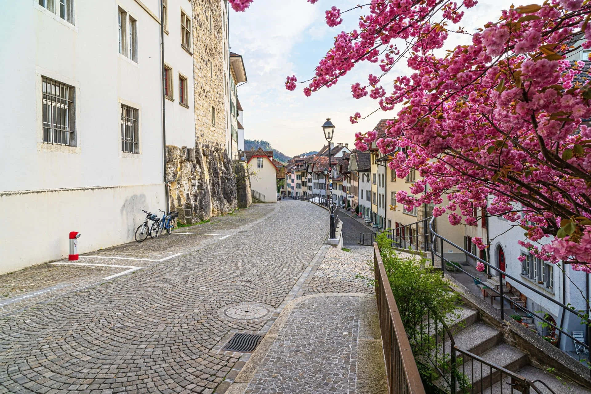 Aarau, cobblestone street, pink cherry blossoms, Full HD Desktop Wallpaper
