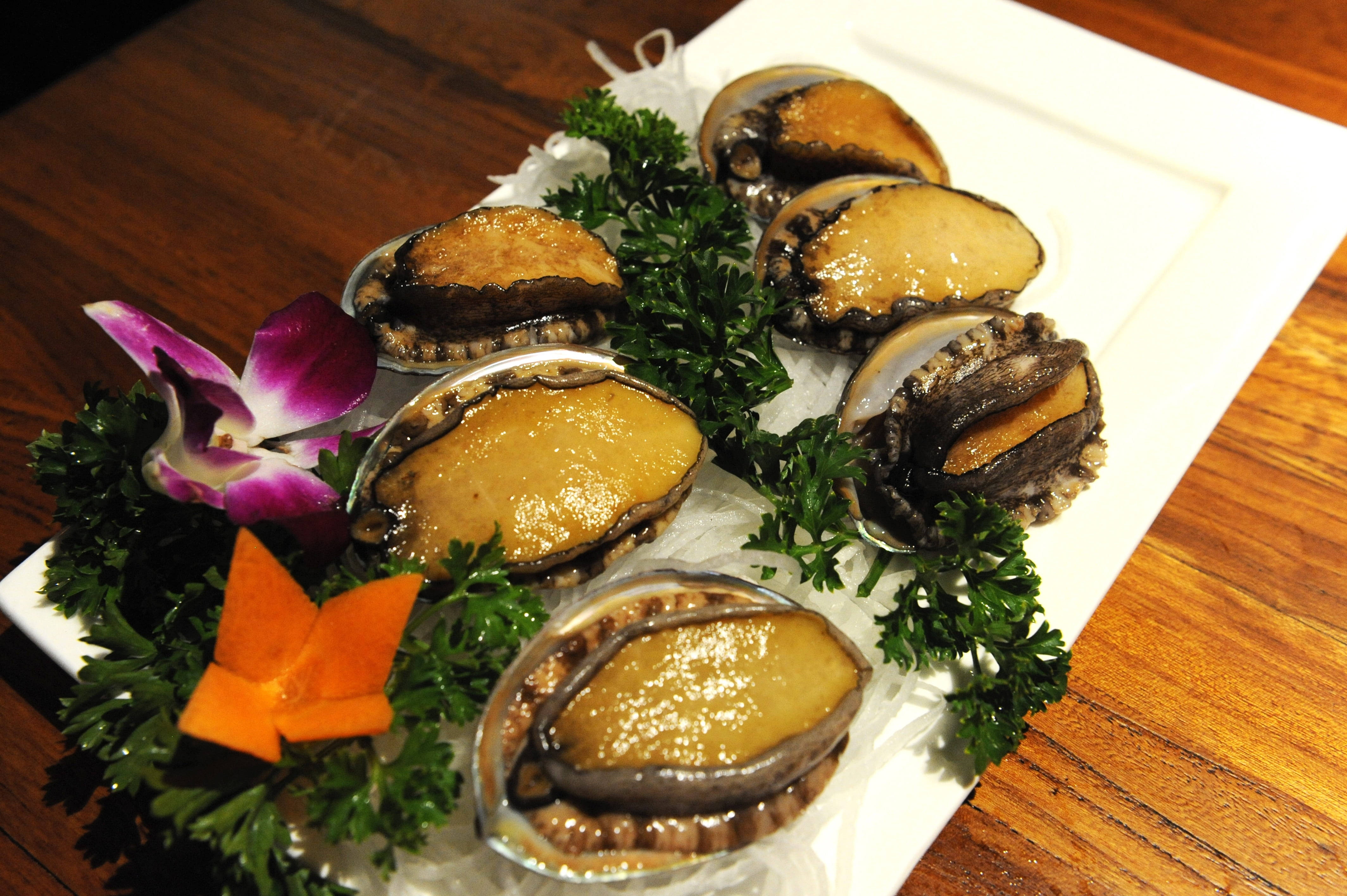 fresh abalone, glossy abalone shells, white plate, 4K Desktop Wallpaper