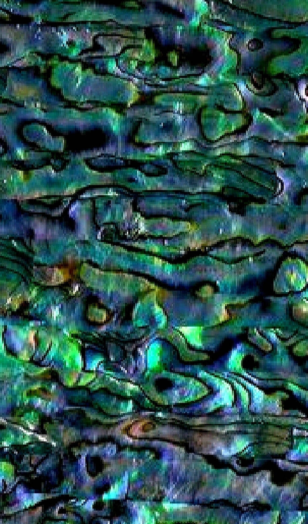 abalone, iridescent green, blue, HD Phone Wallpaper