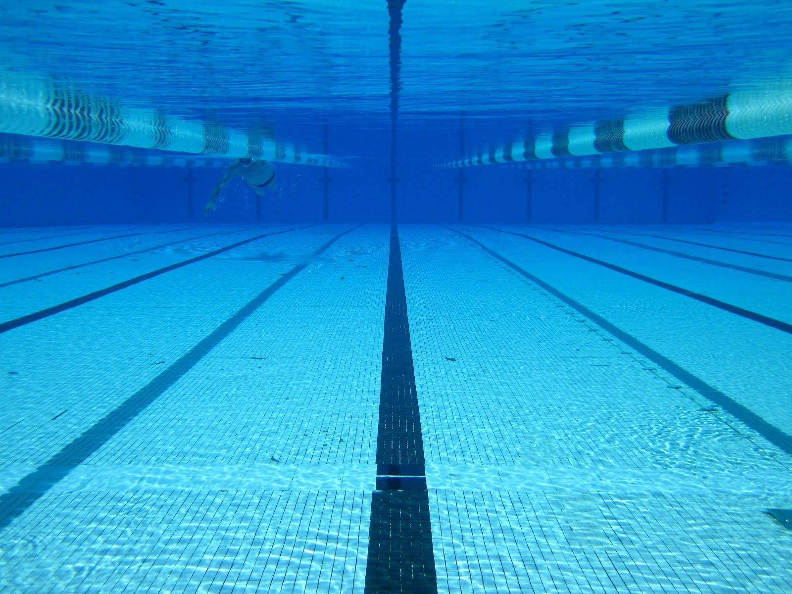 swimming pool, tiled pool lane, blue water, HD Desktop Wallpaper
