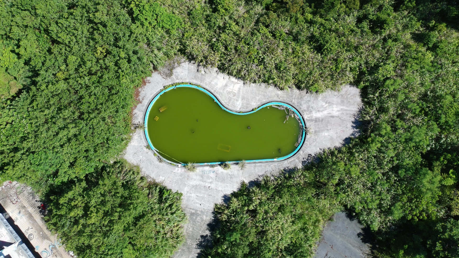 abandoned pool, heart-shaped pool, green water, Full HD Desktop Wallpaper