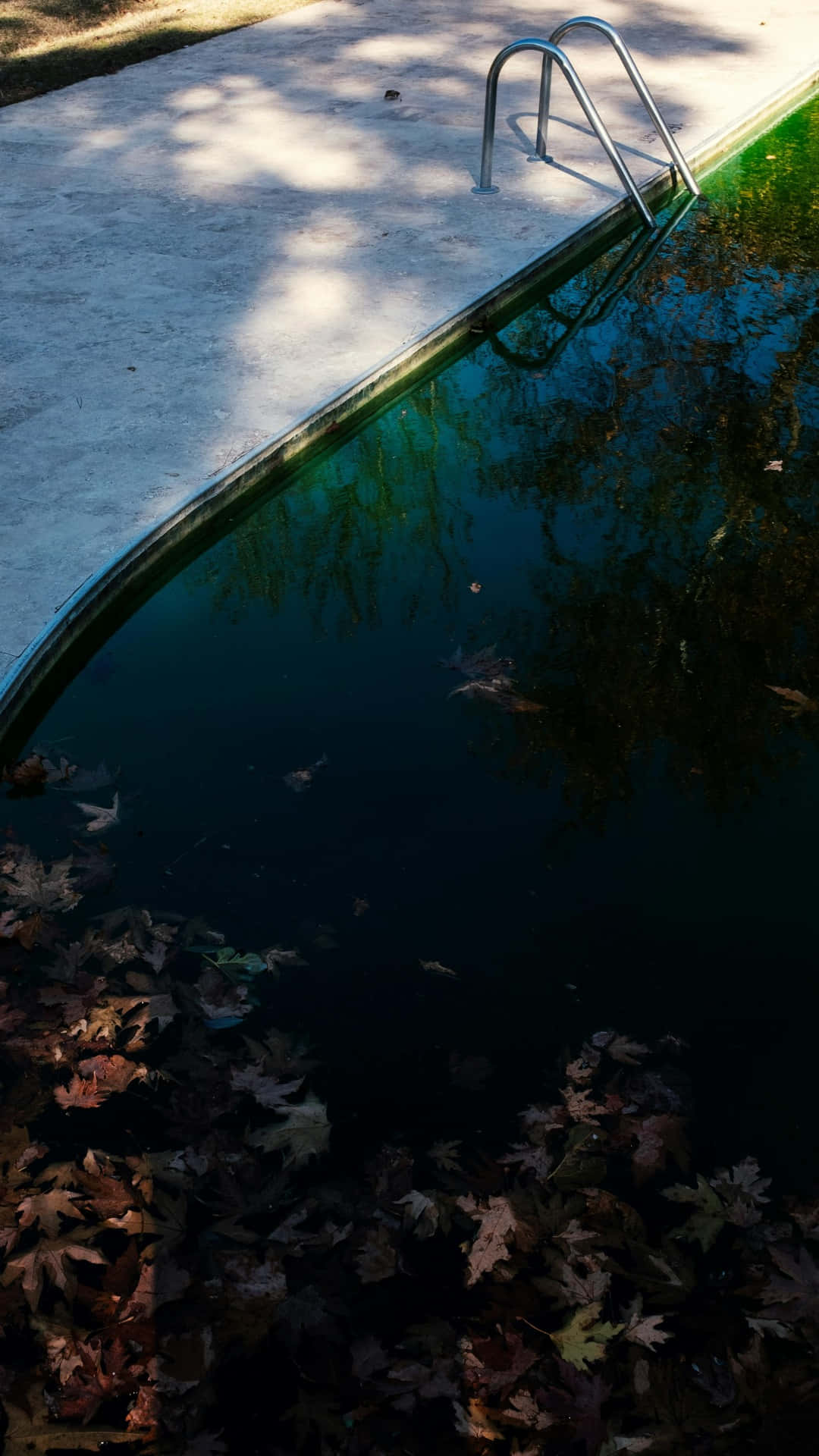 abandoned pool, fallen leaves, sunlit pool edge, Full HD Phone Wallpaper
