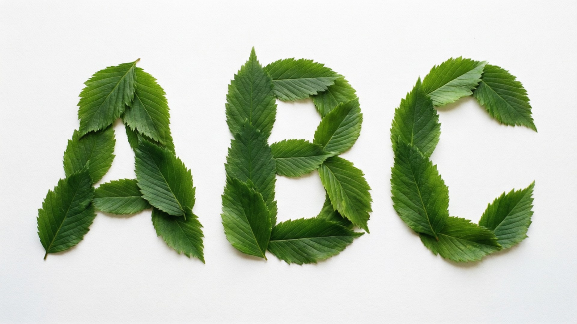 ABC, fresh green leaves, uppercase letters ABC, Full HD Desktop Wallpaper