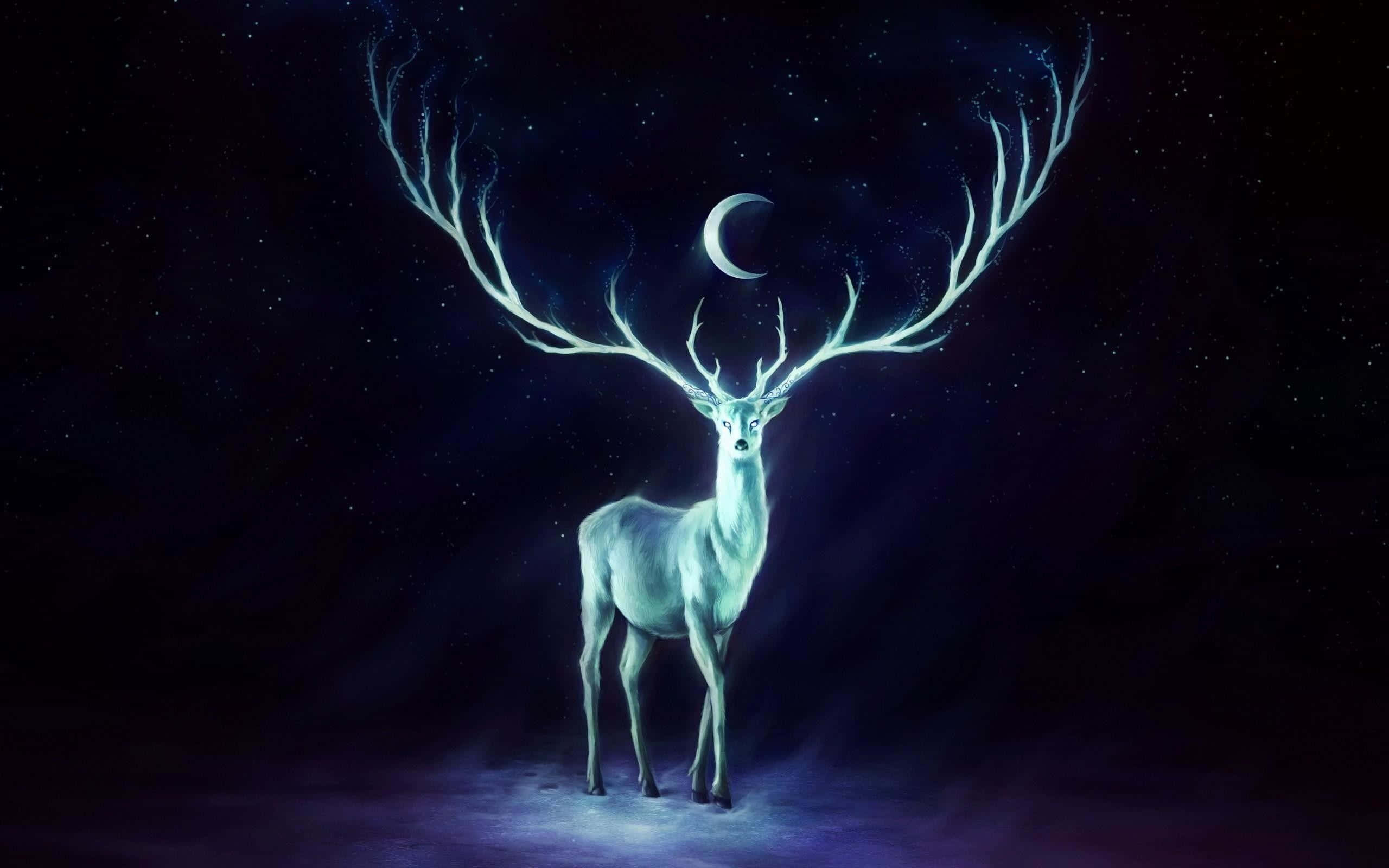 mystical moonlit stag, luminous white deer, glowing antlers, 2K Desktop Wallpaper