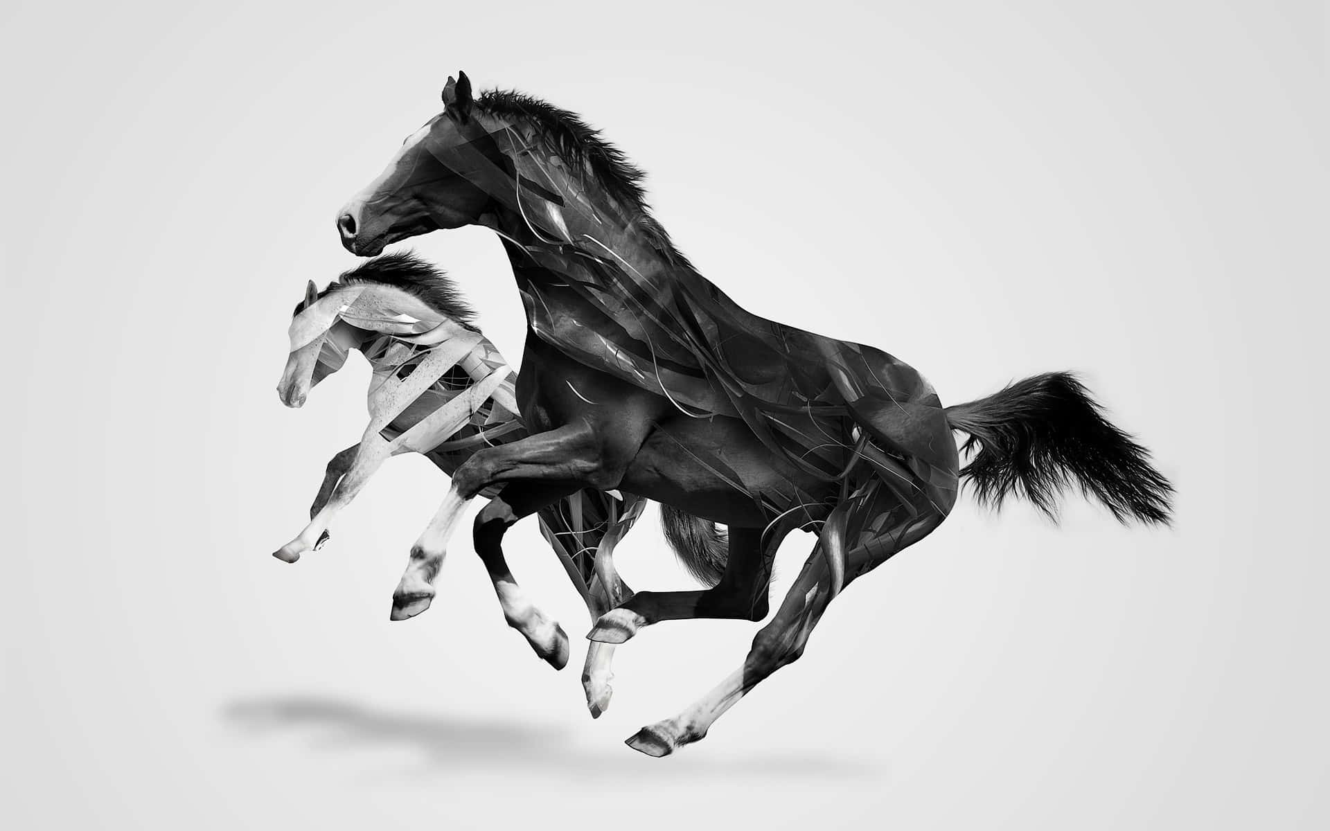 abstract black horse sculpture, monochrome, layered translucent overlays, Full HD Desktop Wallpaper