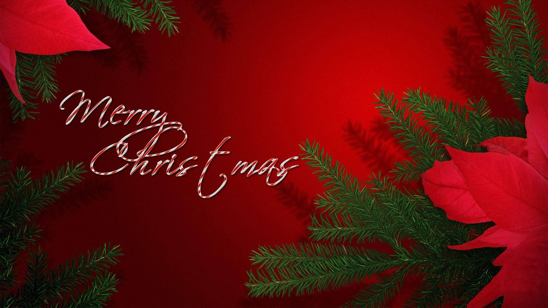 Classic Red Merry Christmas, vibrant red, green pine branches, Full HD Desktop Wallpaper