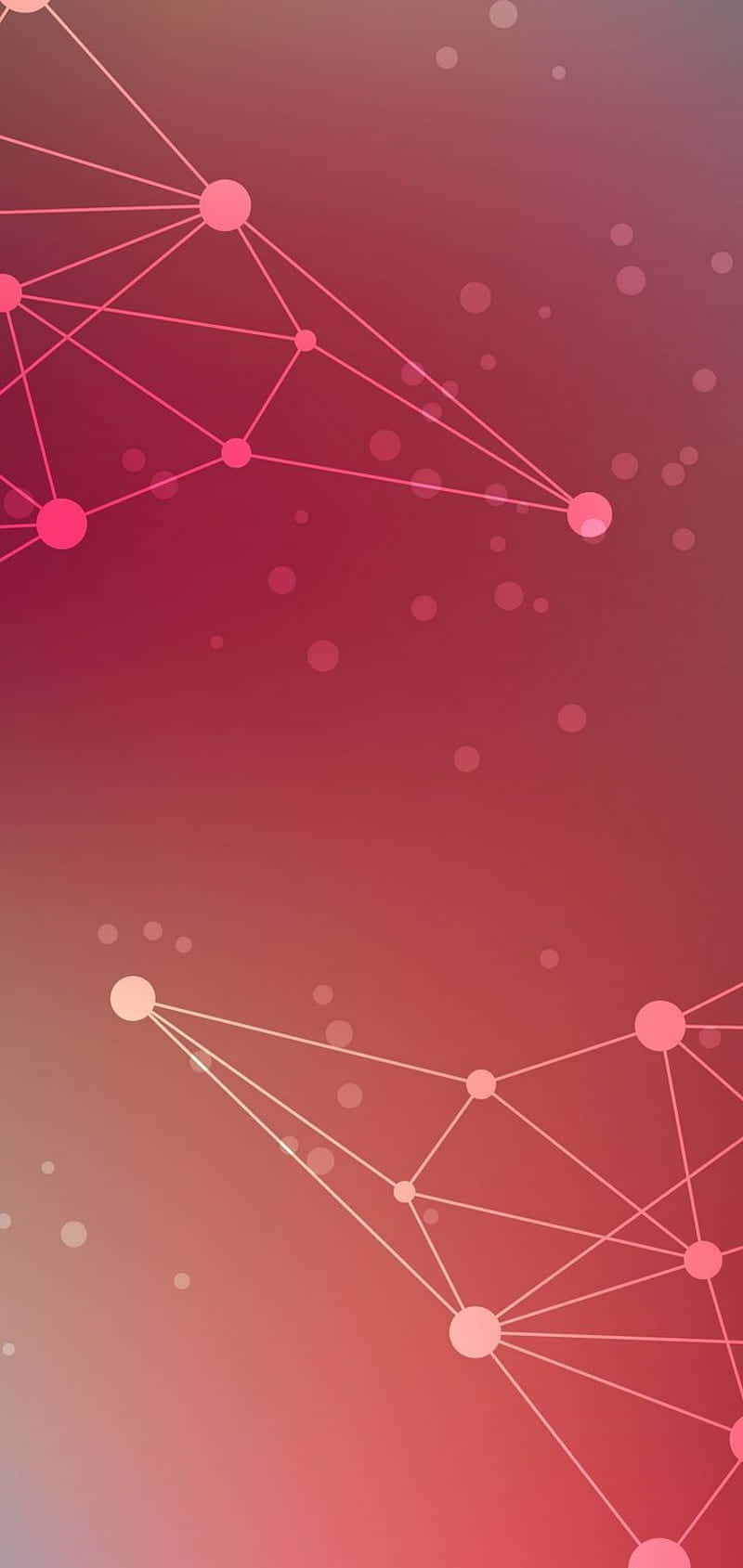 abstract connectivity network, pink dots, lines, HD Phone Wallpaper
